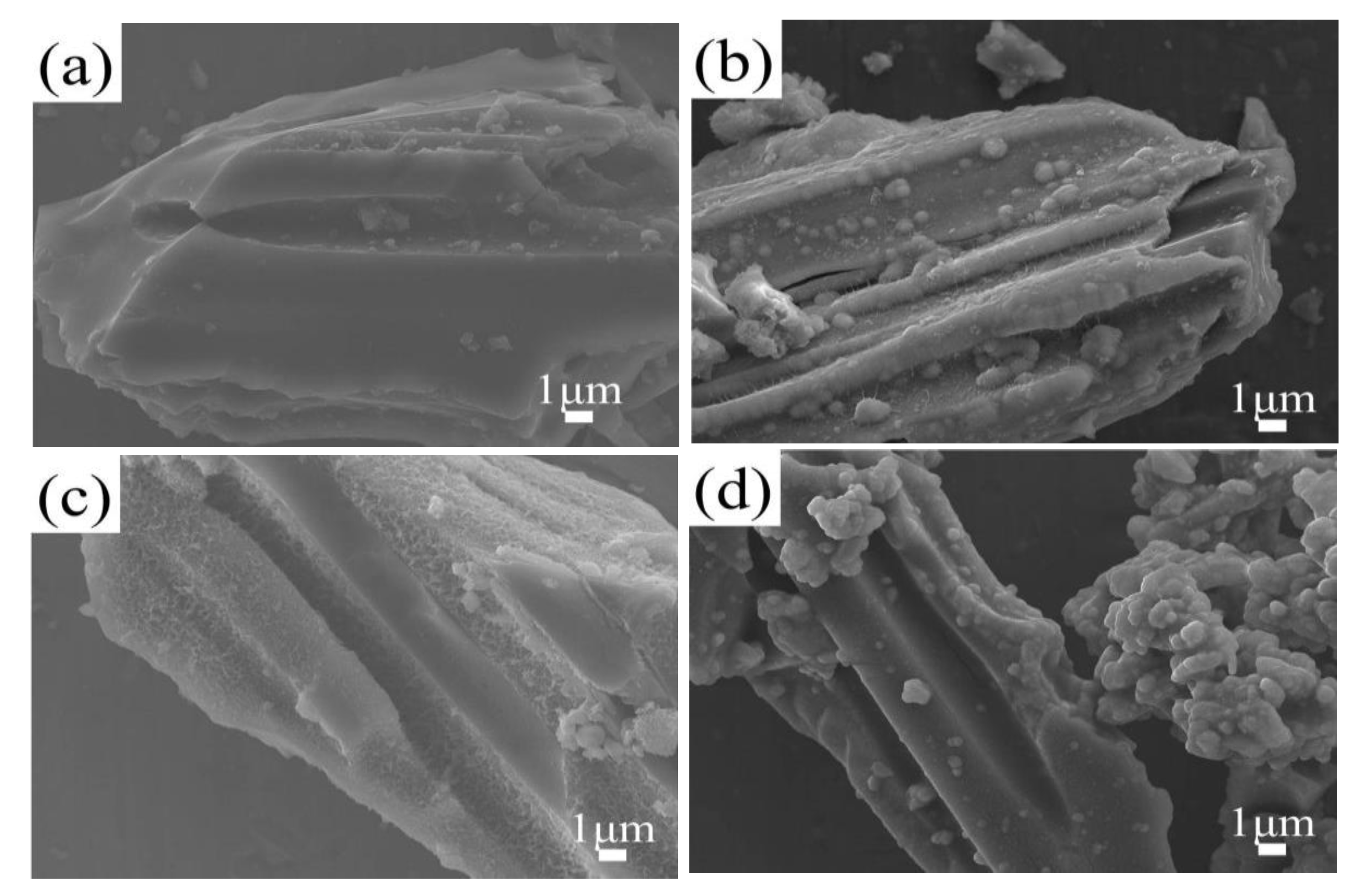 Nanomaterials 14 01565 g002