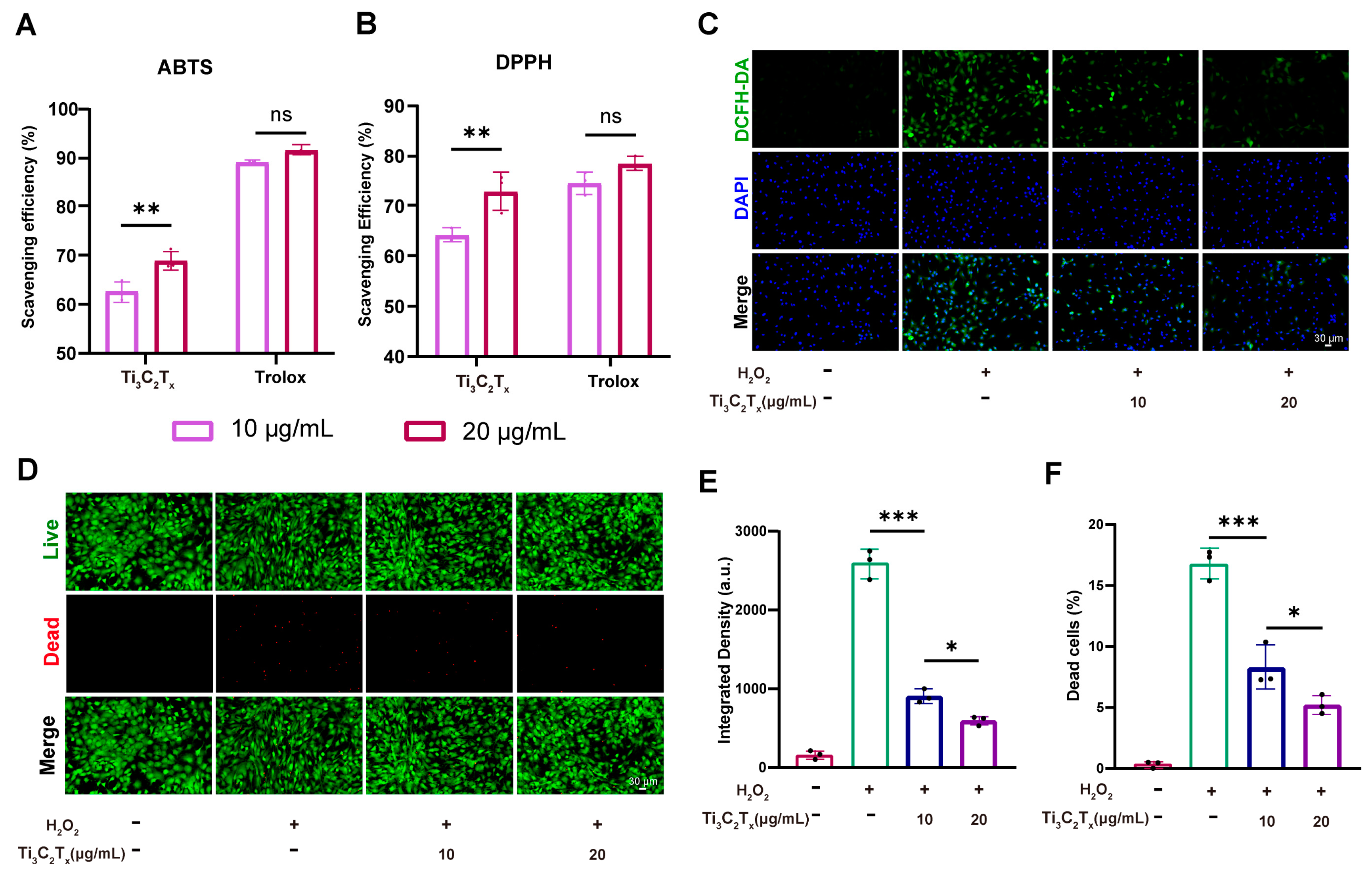 Nanomaterials 14 01572 g004