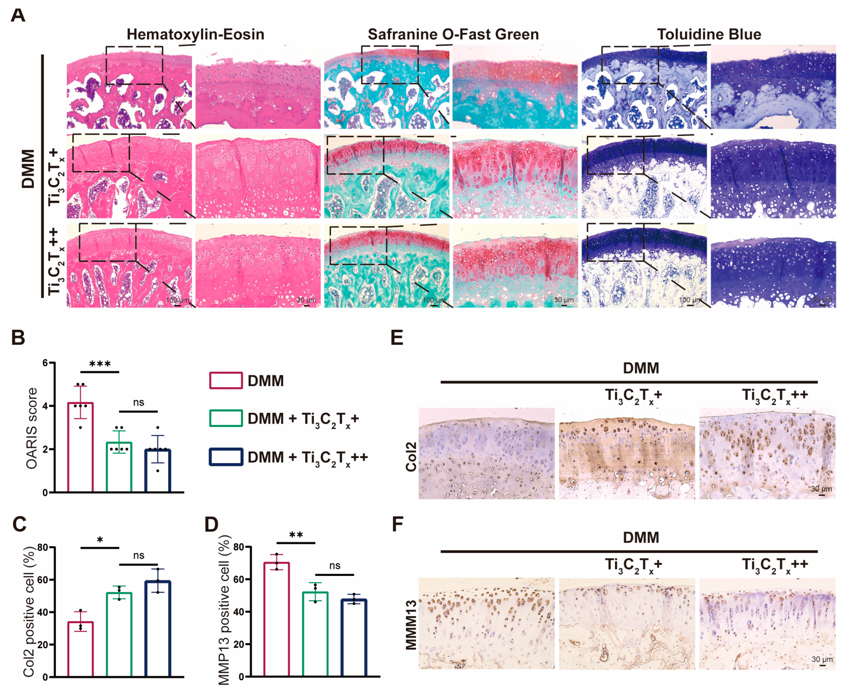 Nanomaterials 14 01572 g007