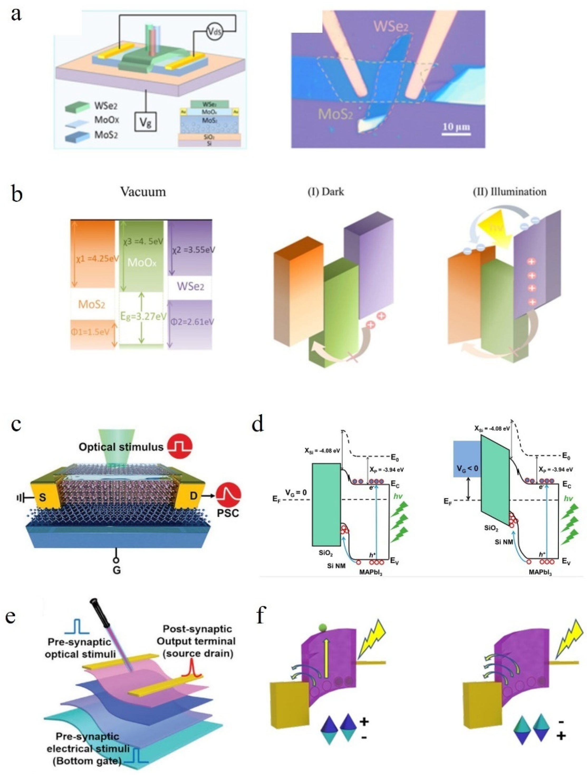 Nanomaterials 14 01573 g005