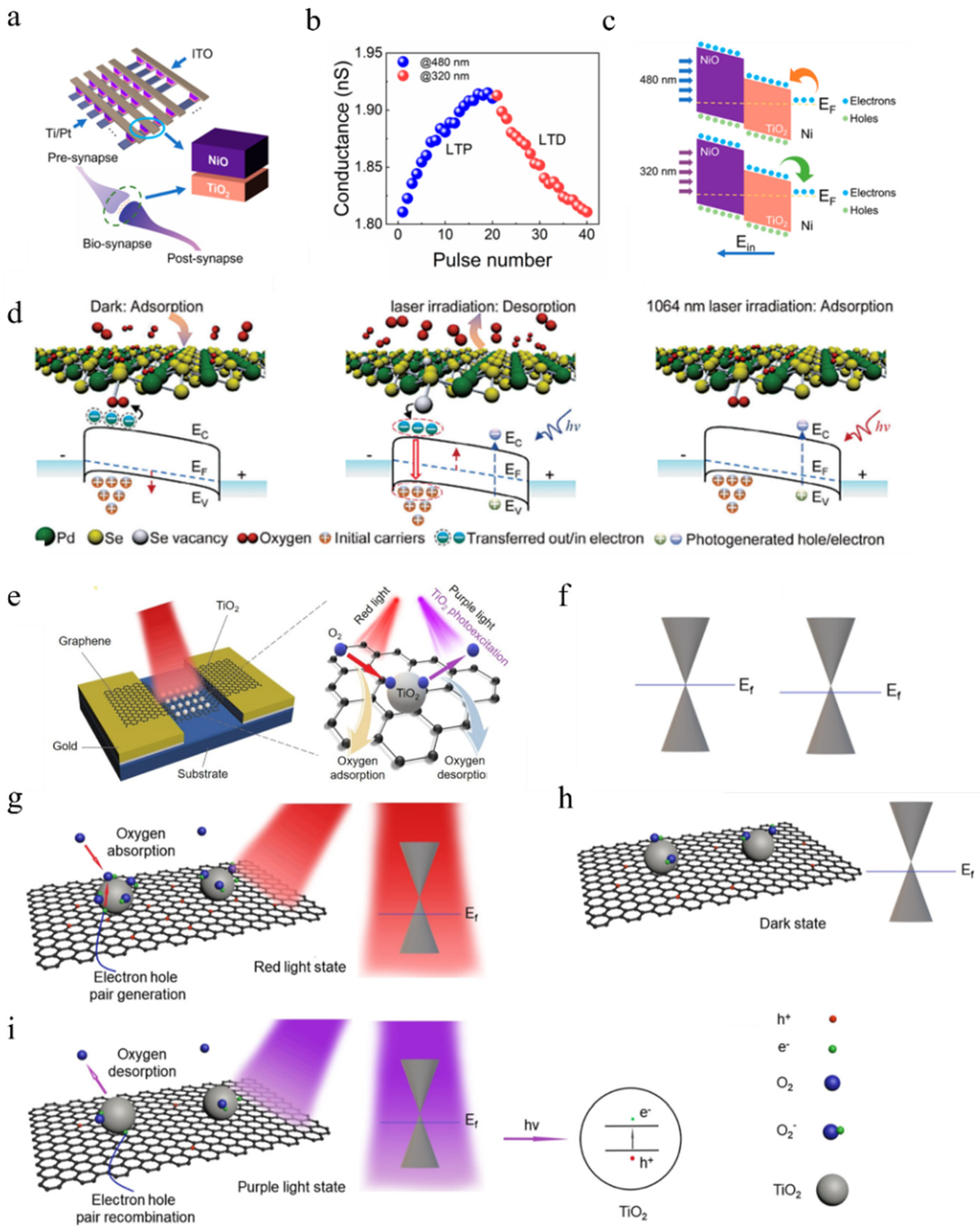 Nanomaterials 14 01573 g010