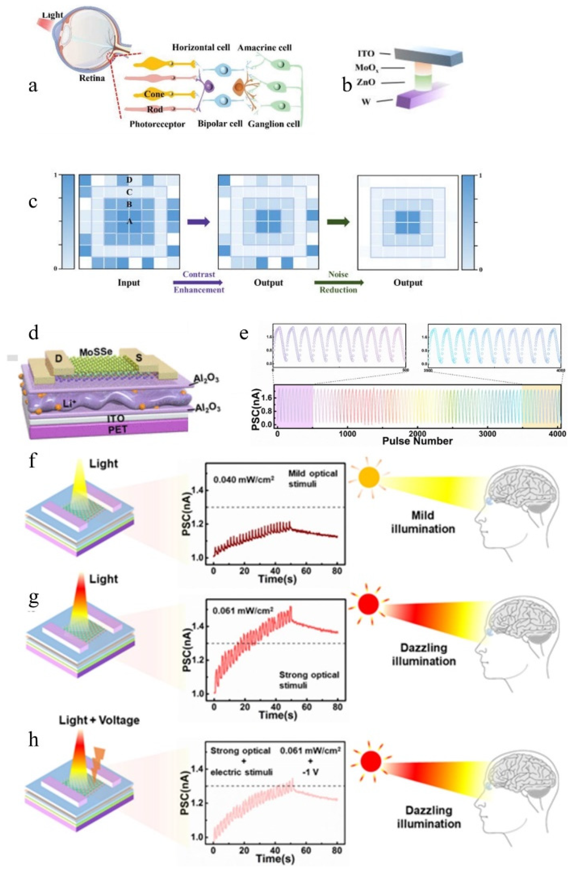 Nanomaterials 14 01573 g014