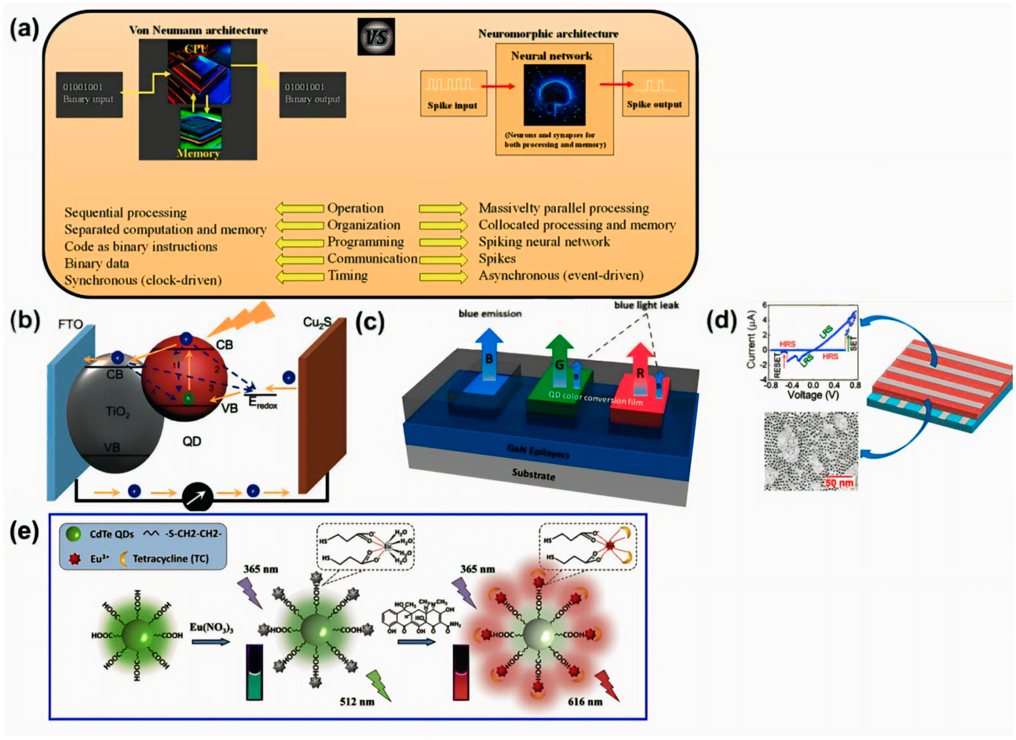 Nanomaterials 14 01575 g001