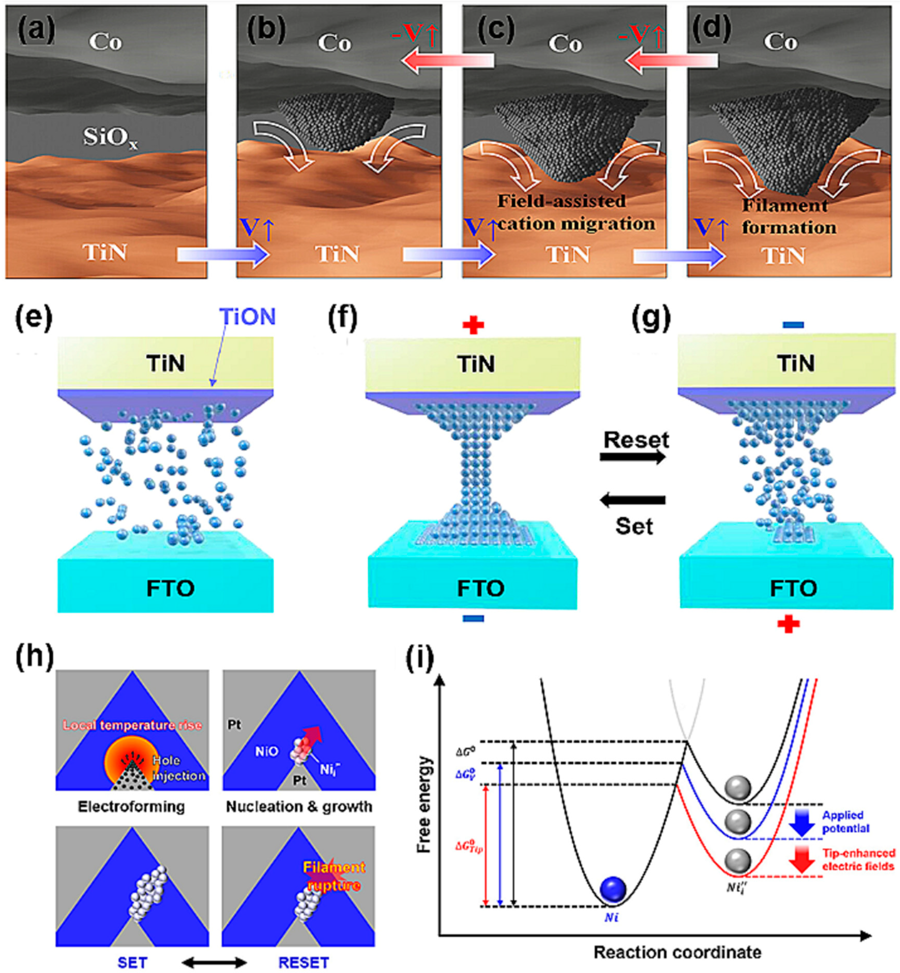 Nanomaterials 14 01575 g005