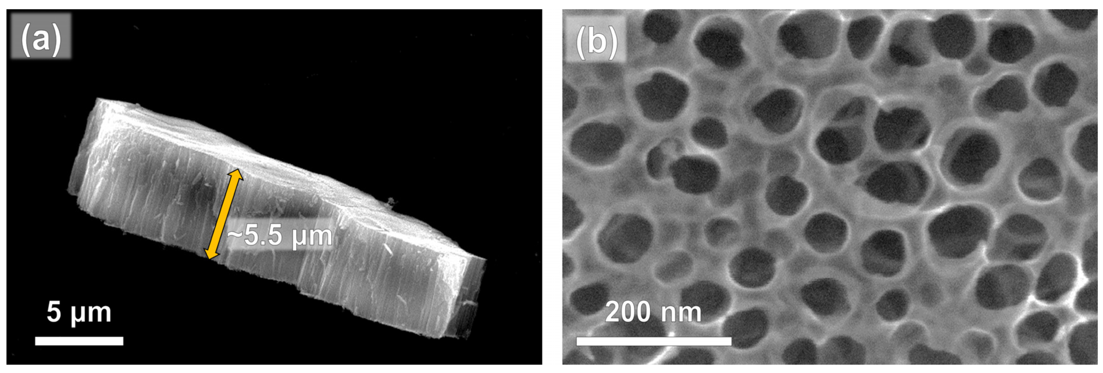 Nanomaterials 14 01577 g001