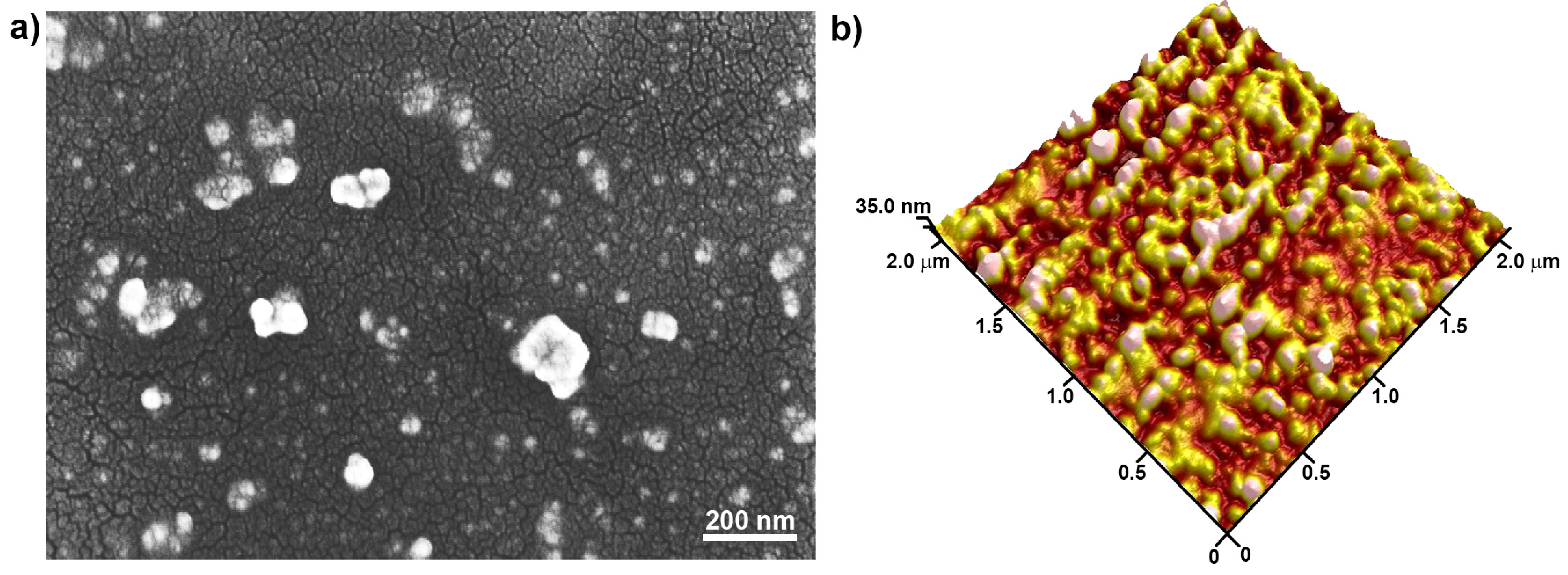 Nanomaterials 14 01589 g007