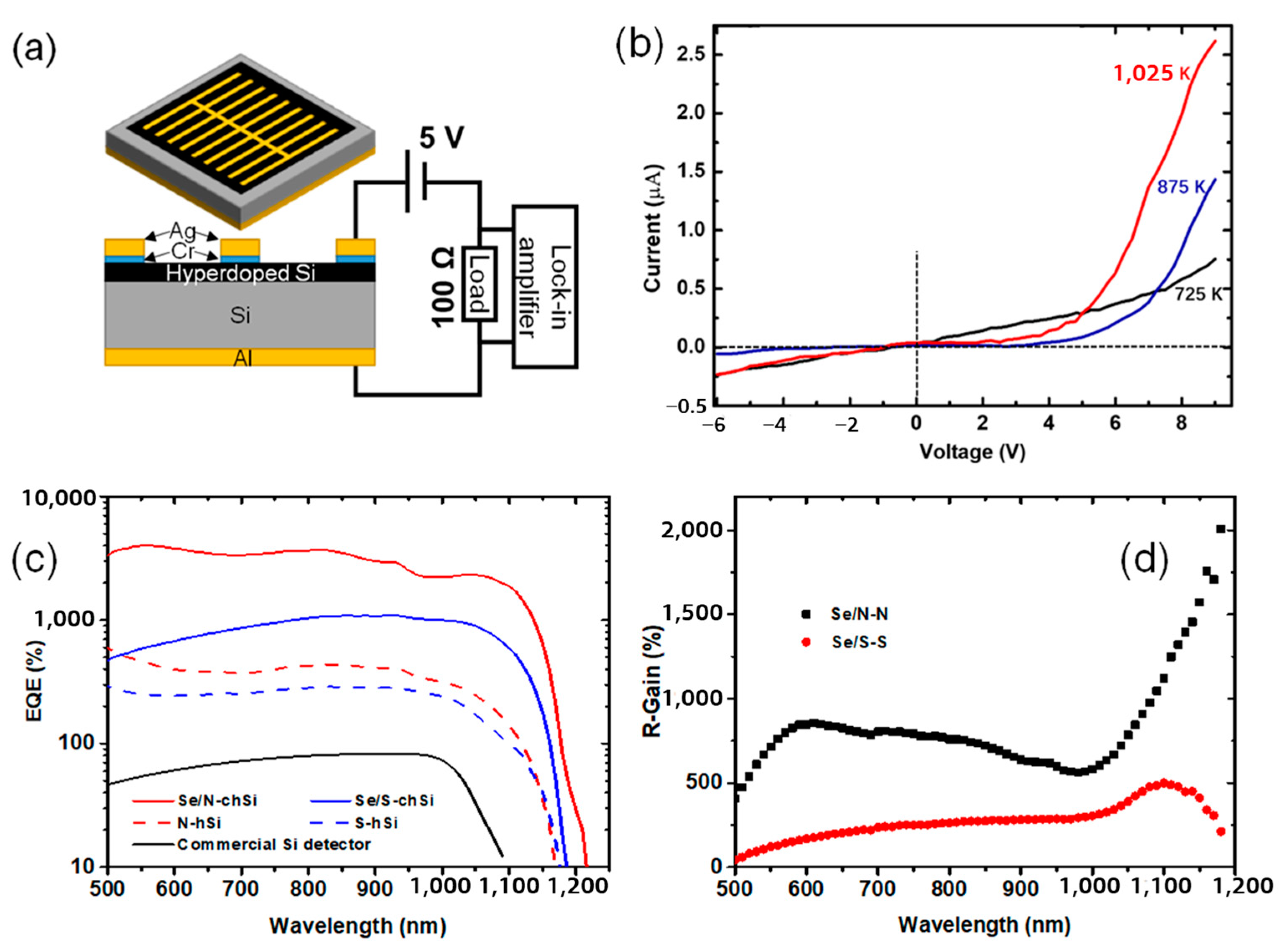Nanomaterials 14 01591 g004