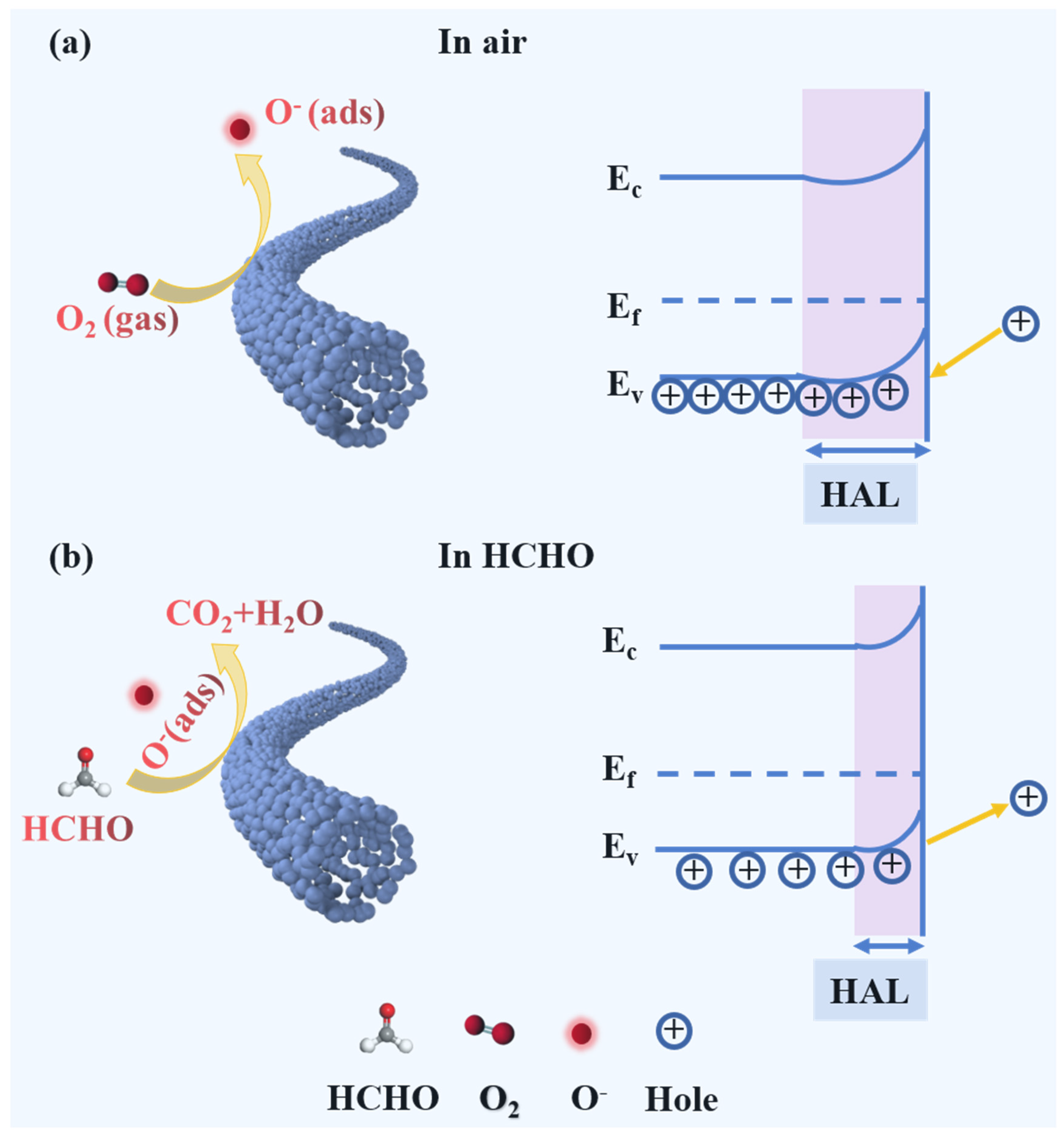 Nanomaterials 14 01595 g006