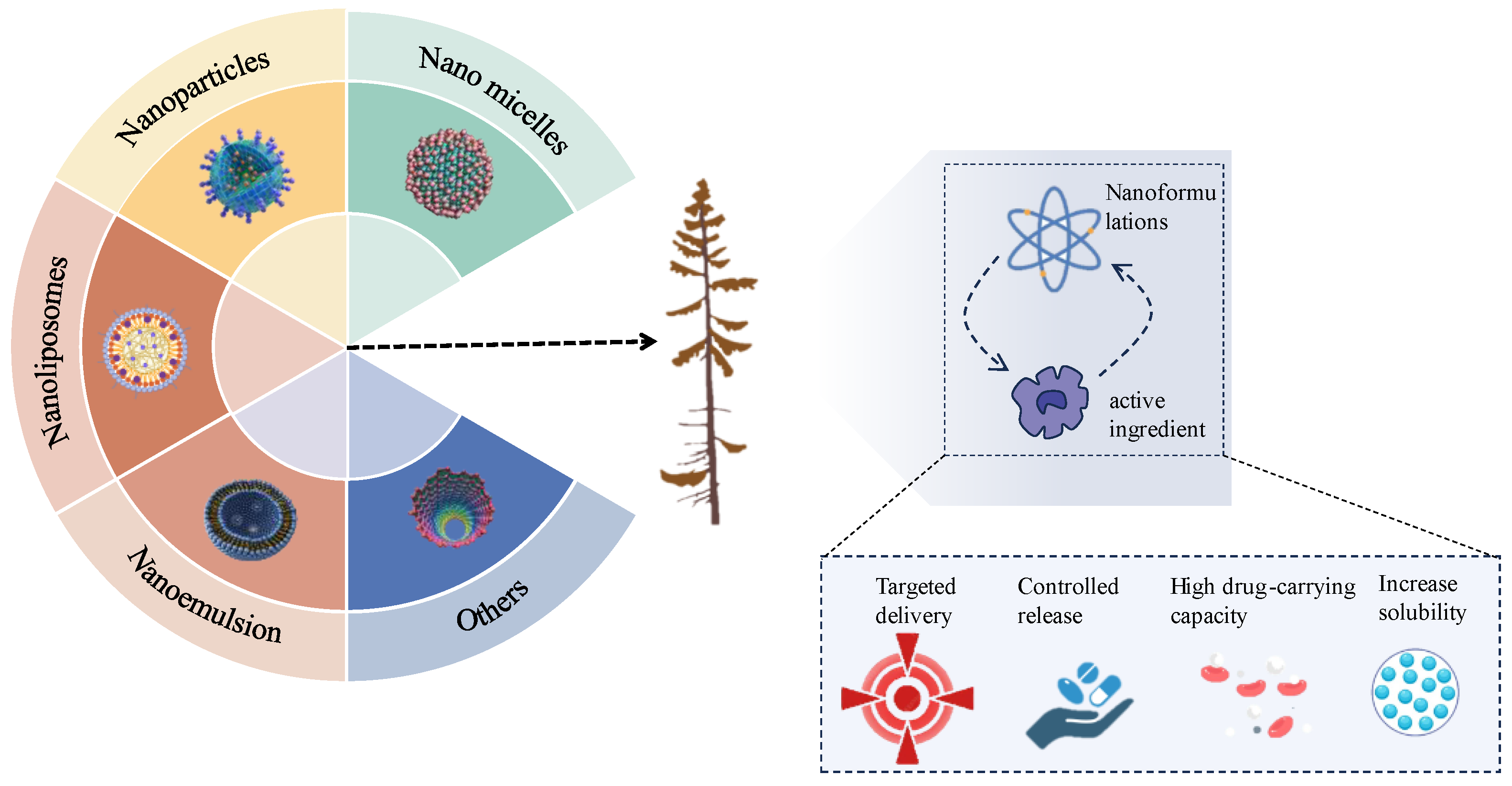 Nanomaterials 14 01598 g001