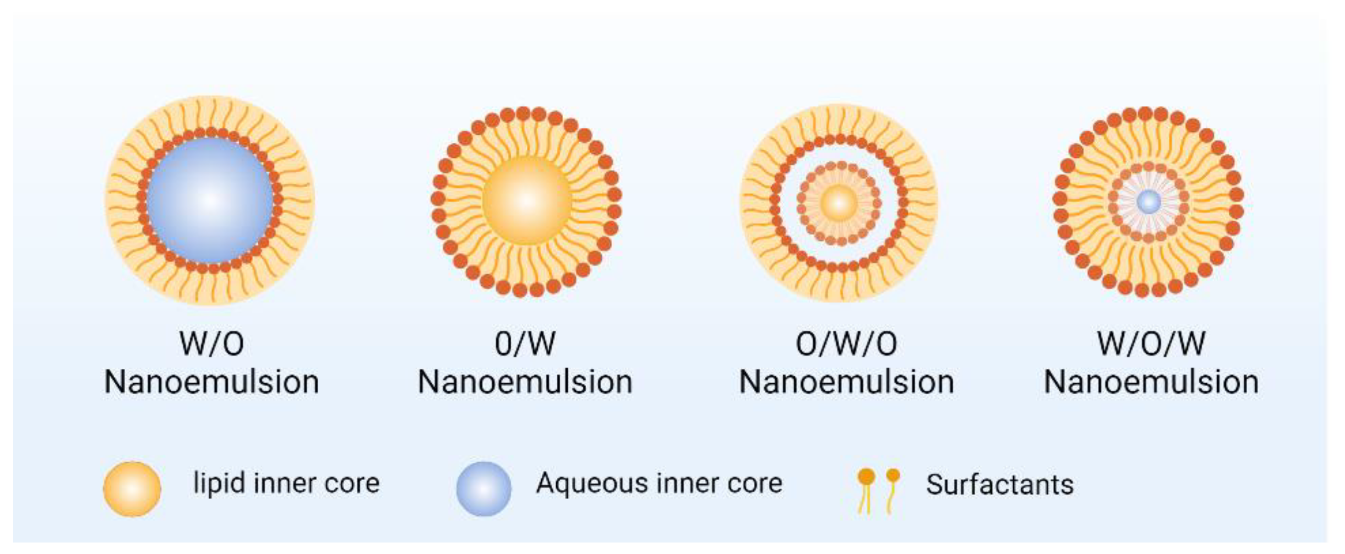 Nanomaterials 14 01598 g002