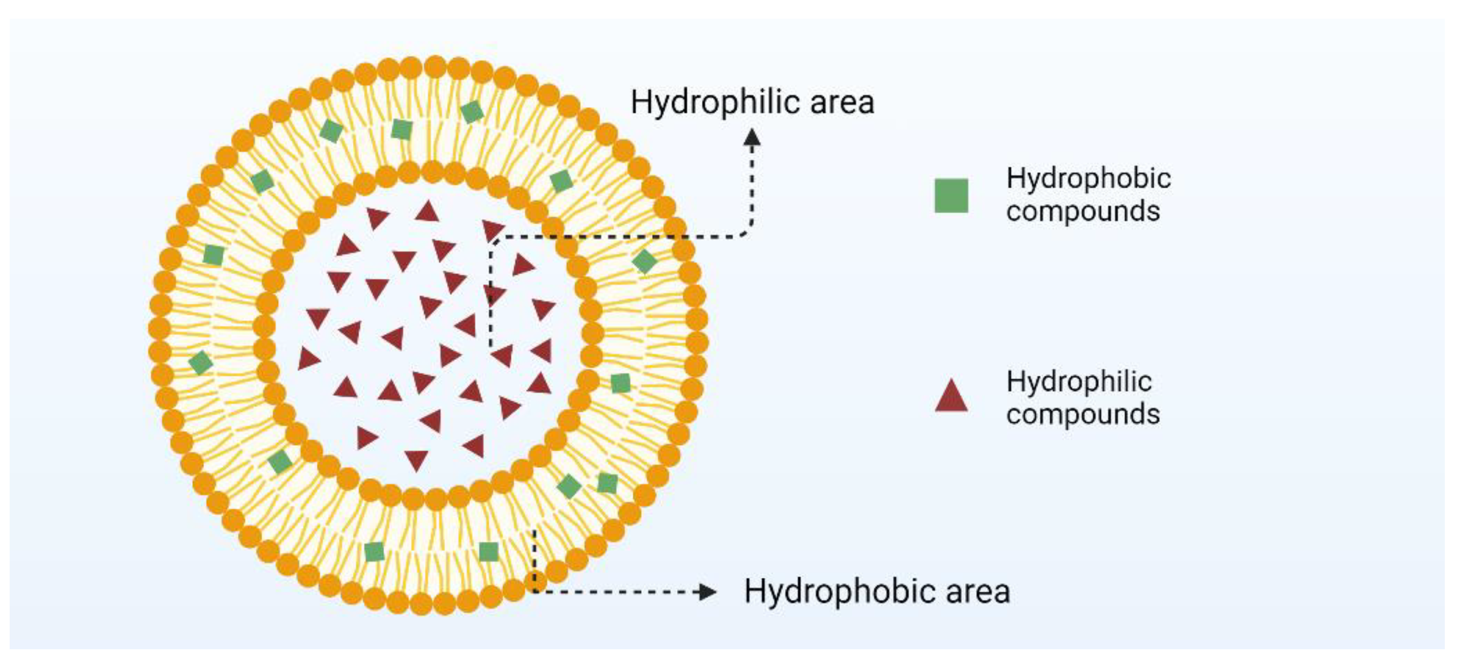 Nanomaterials 14 01598 g003