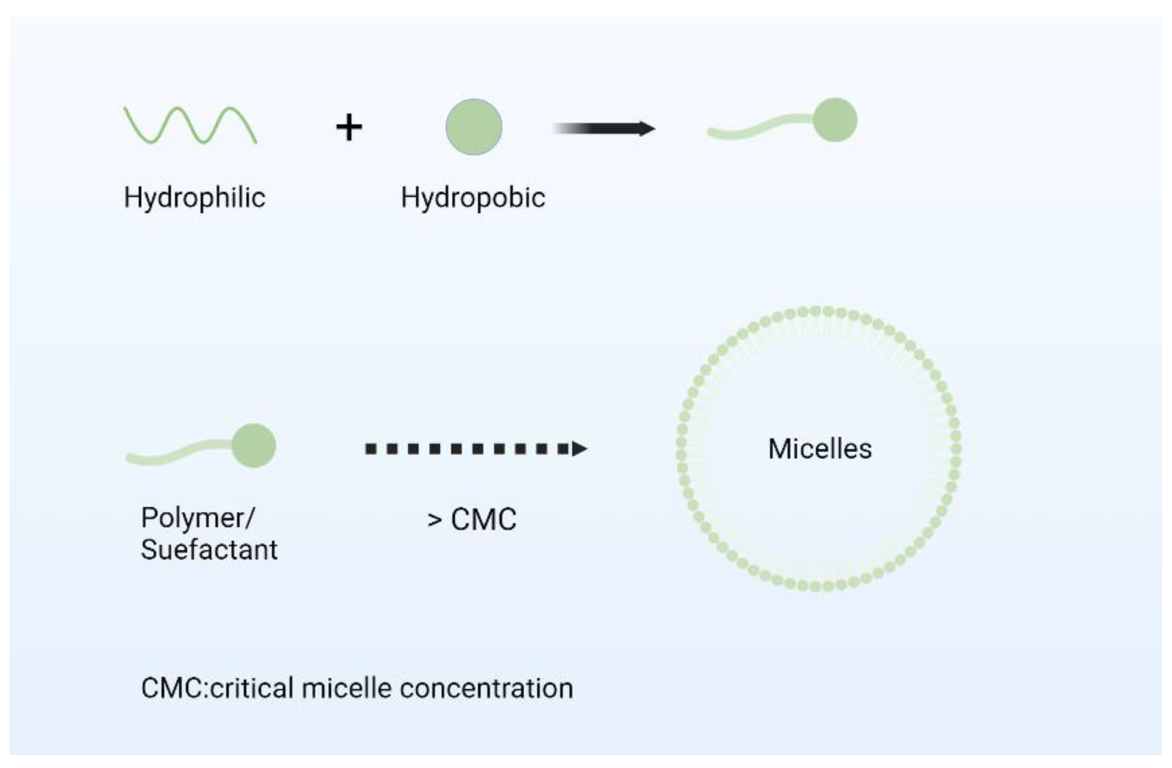 Nanomaterials 14 01598 g004