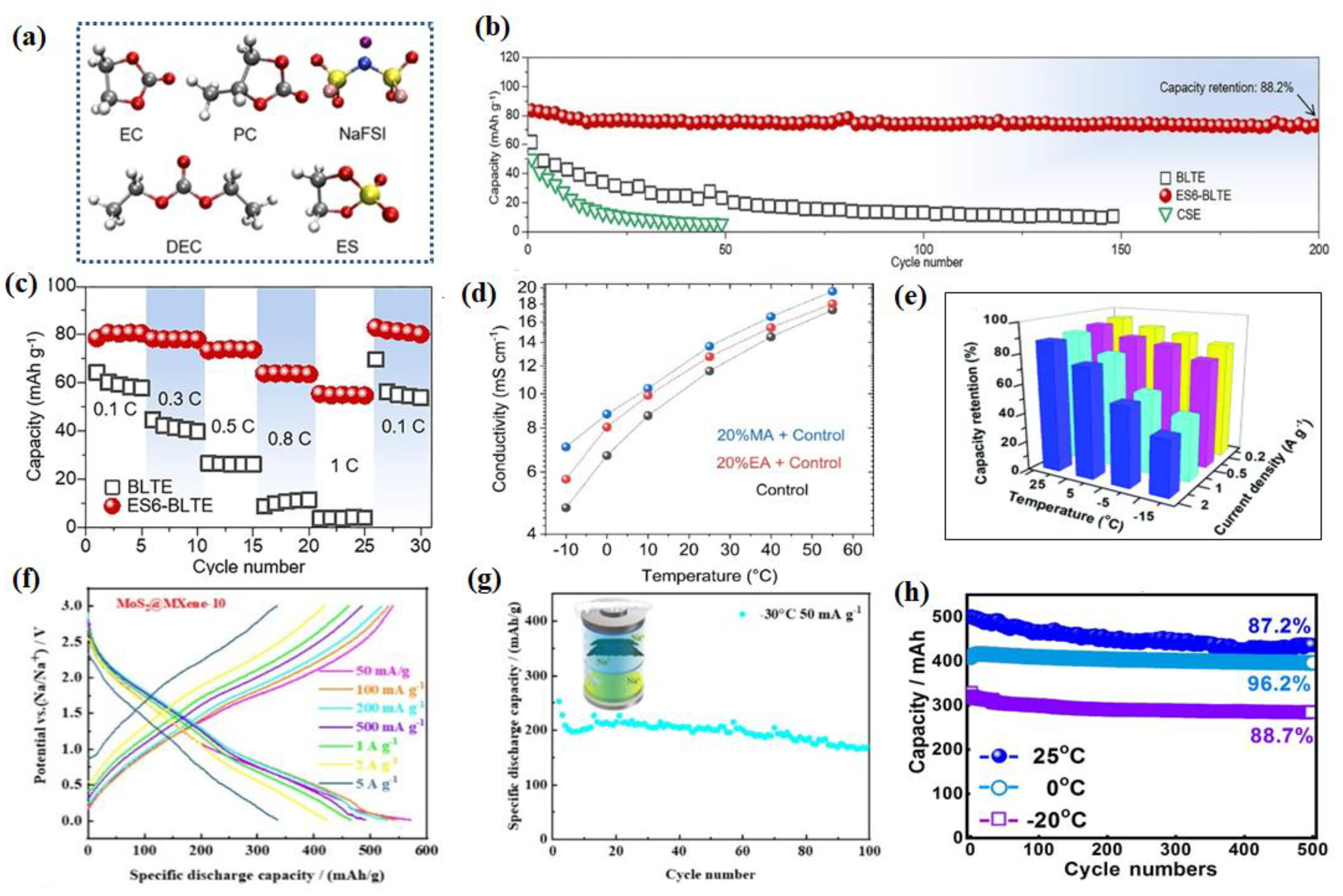 Nanomaterials 14 01604 g011