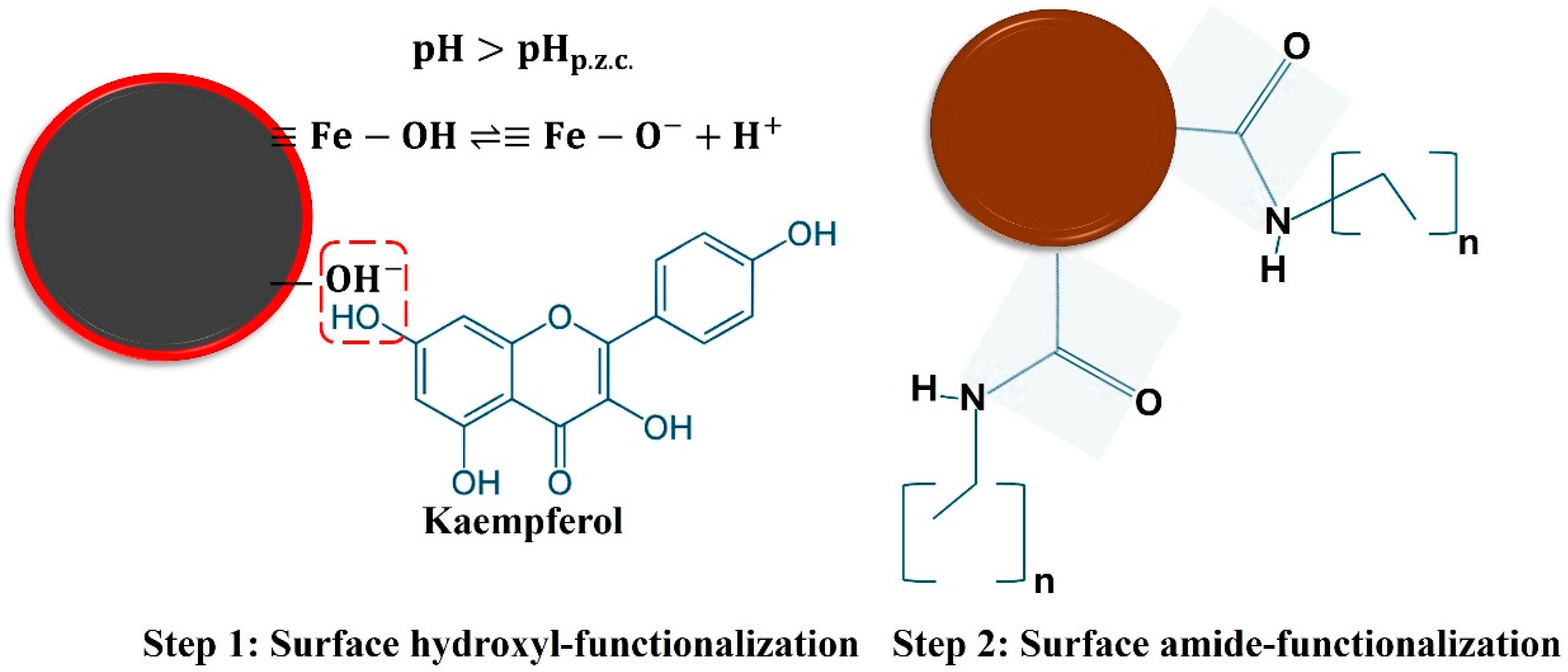 Nanomaterials 14 01607 sch002