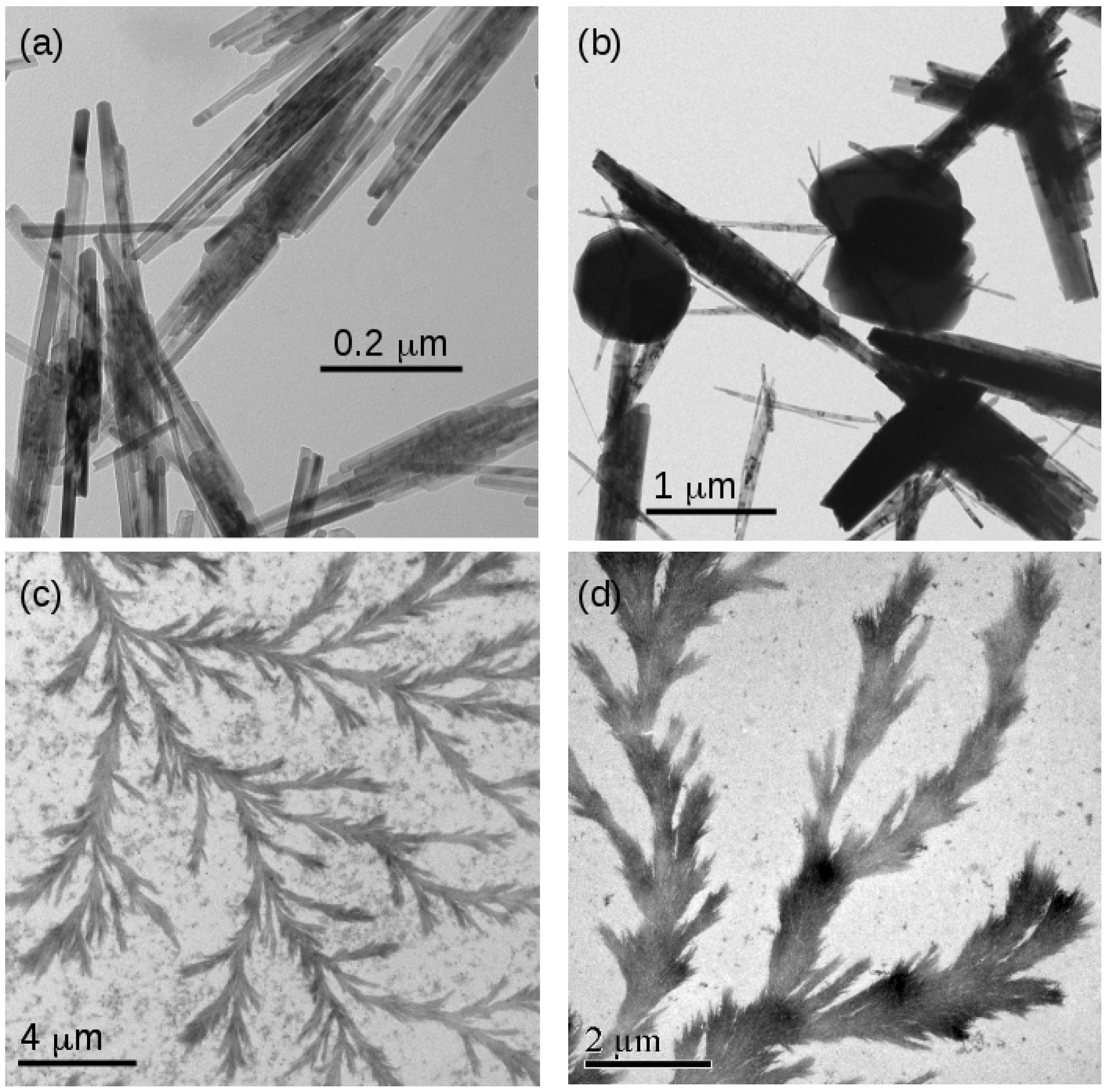 Nanomaterials 14 01609 g009