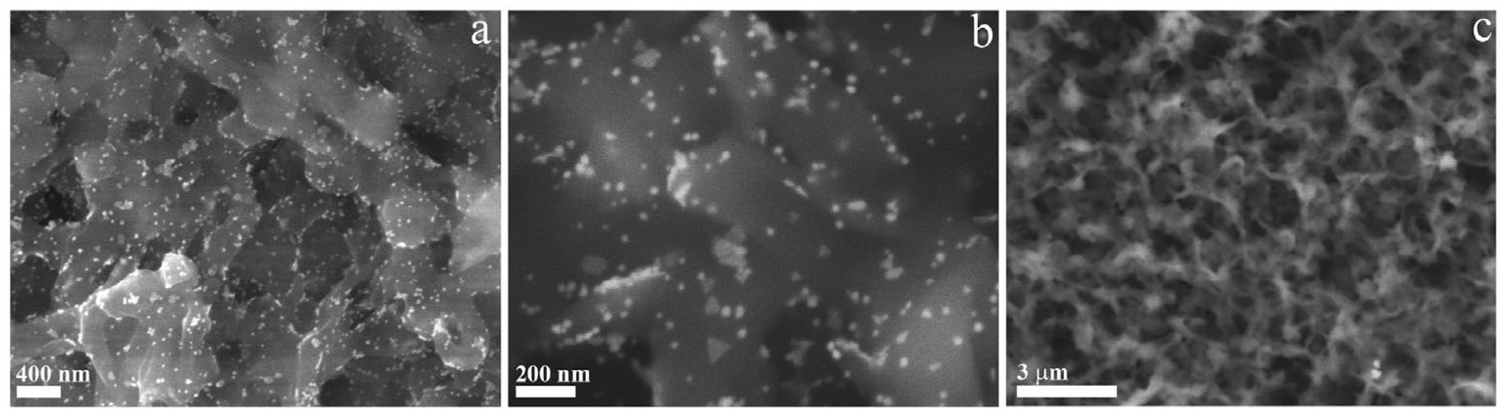 Nanomaterials 14 01611 g006