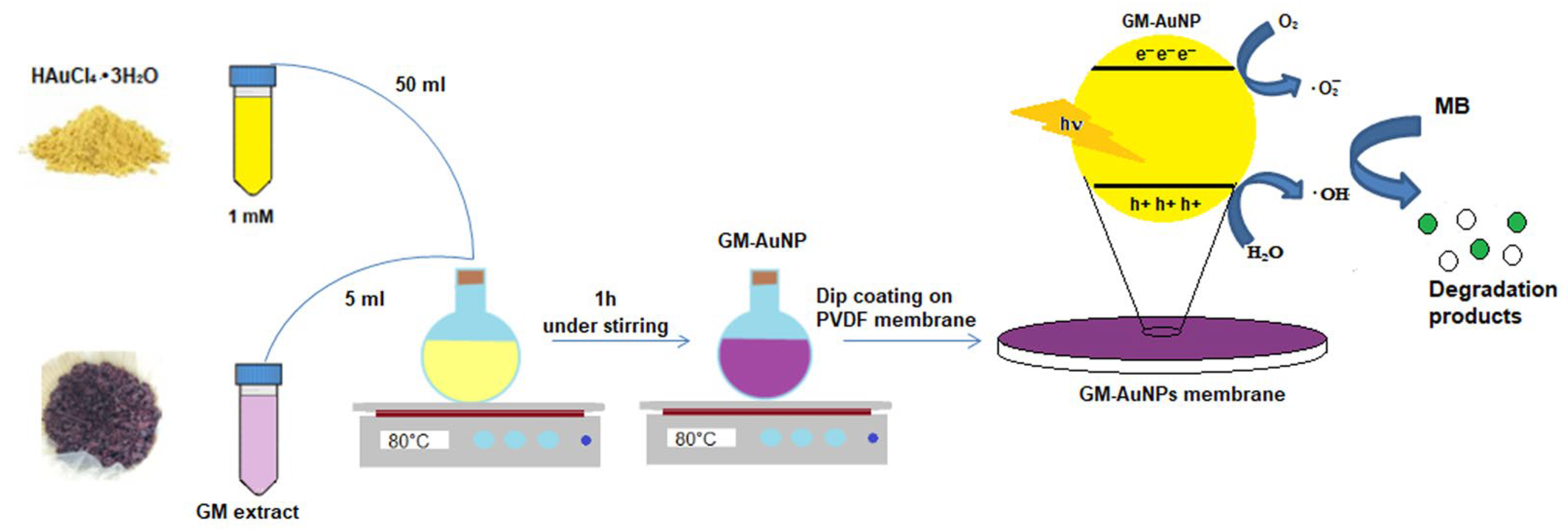 Nanomaterials 14 01611 sch001