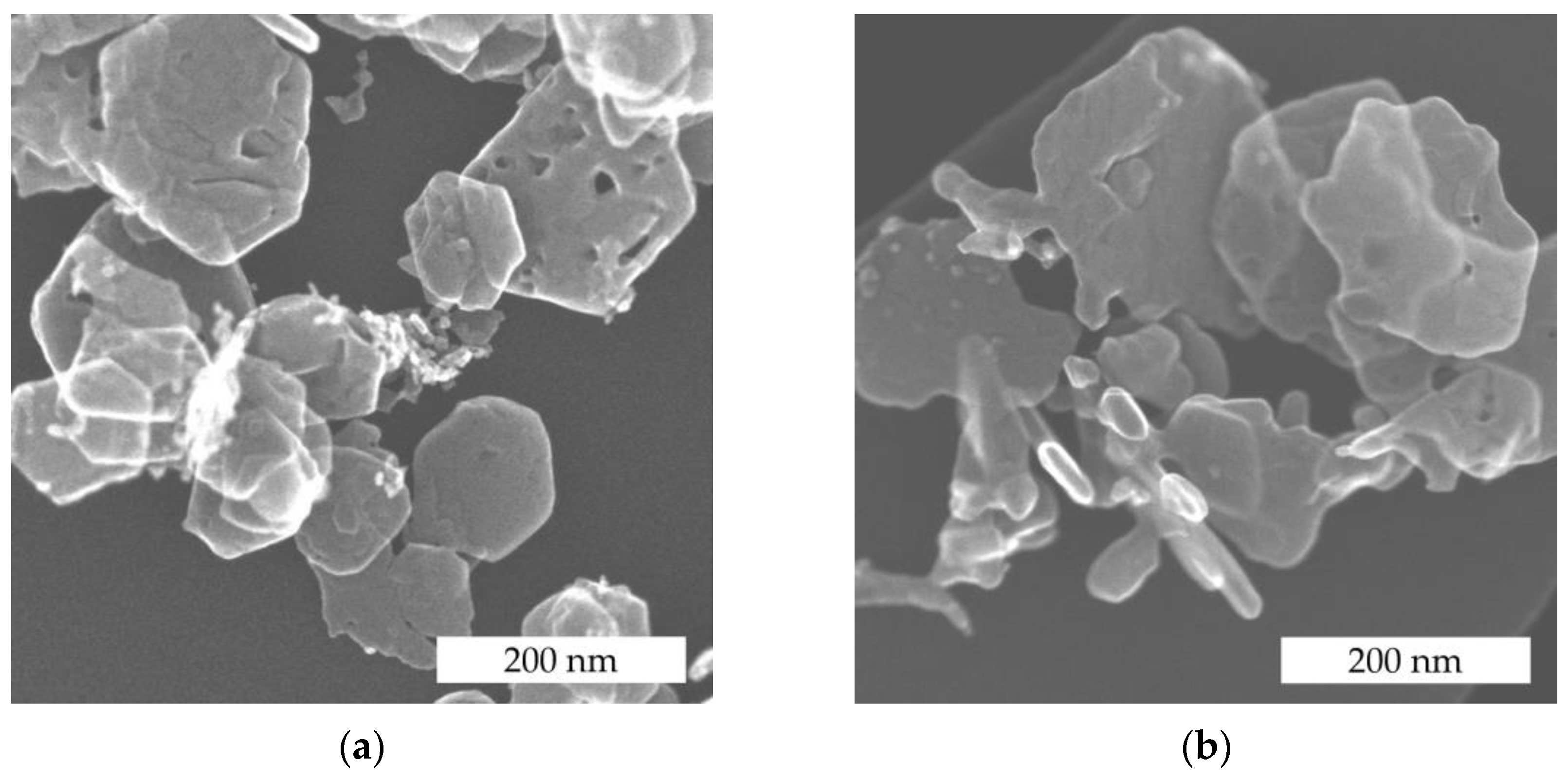 Nanomaterials 14 01619 g002