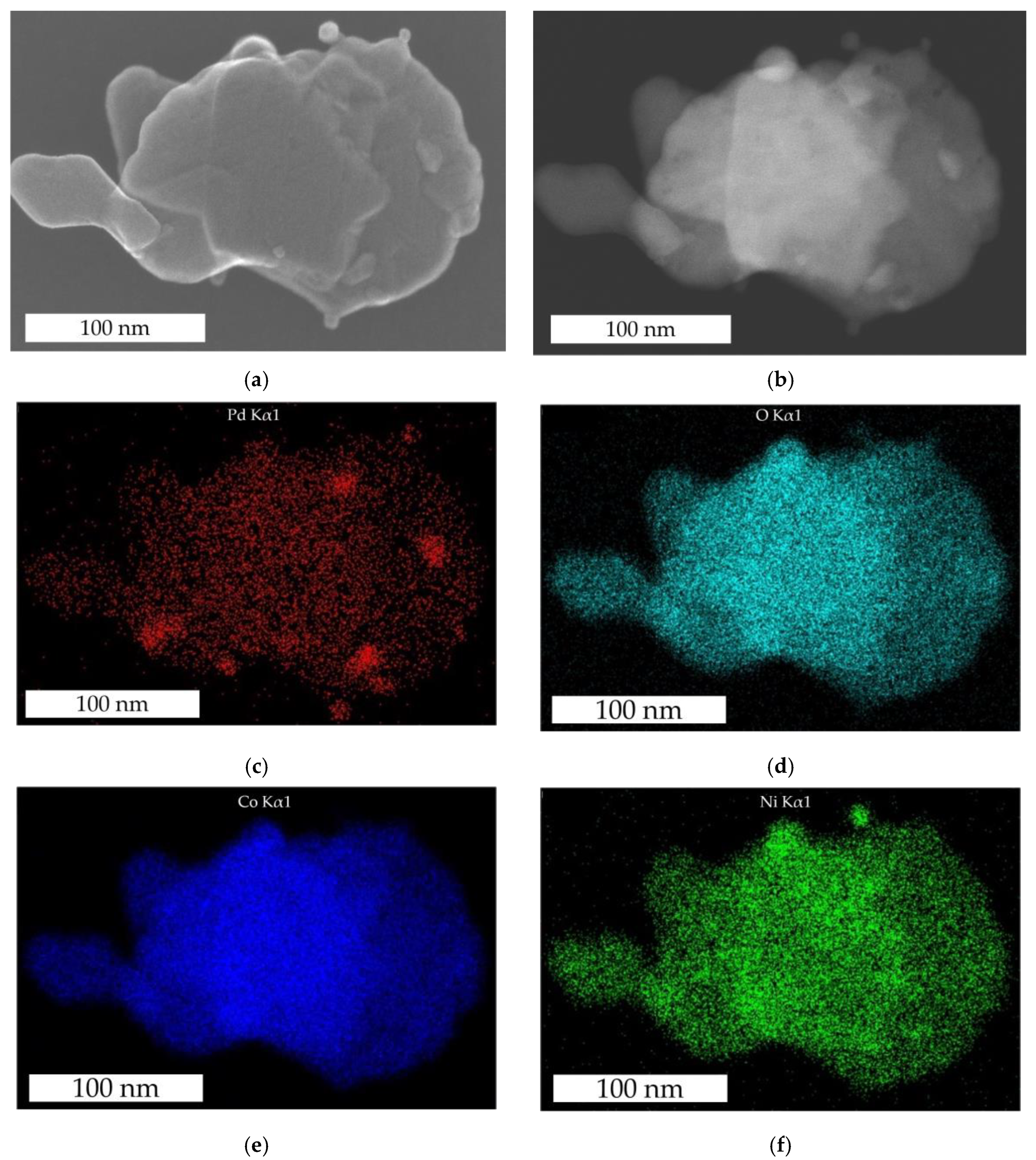 Nanomaterials 14 01619 g003