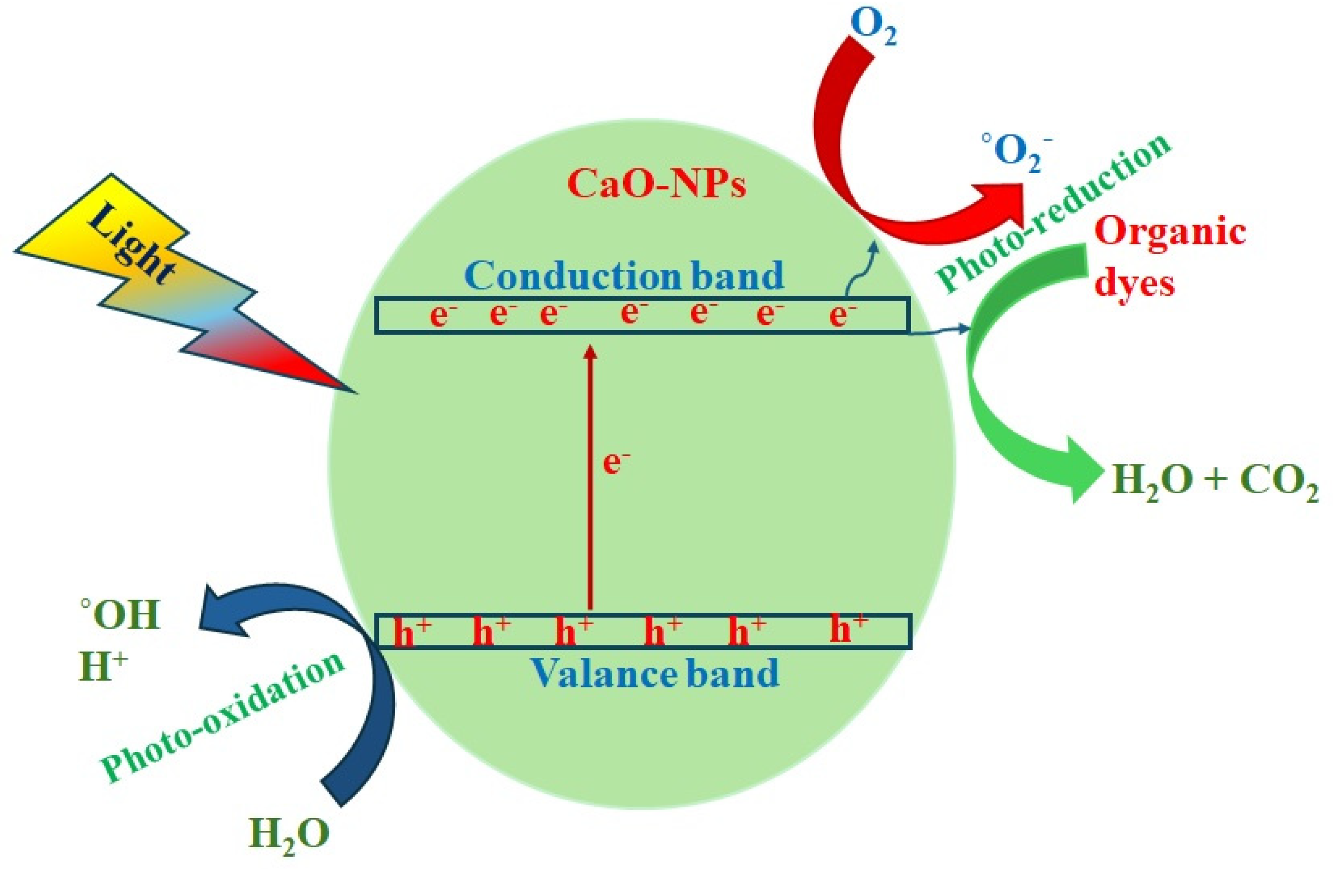 Nanomaterials 14 01620 g012