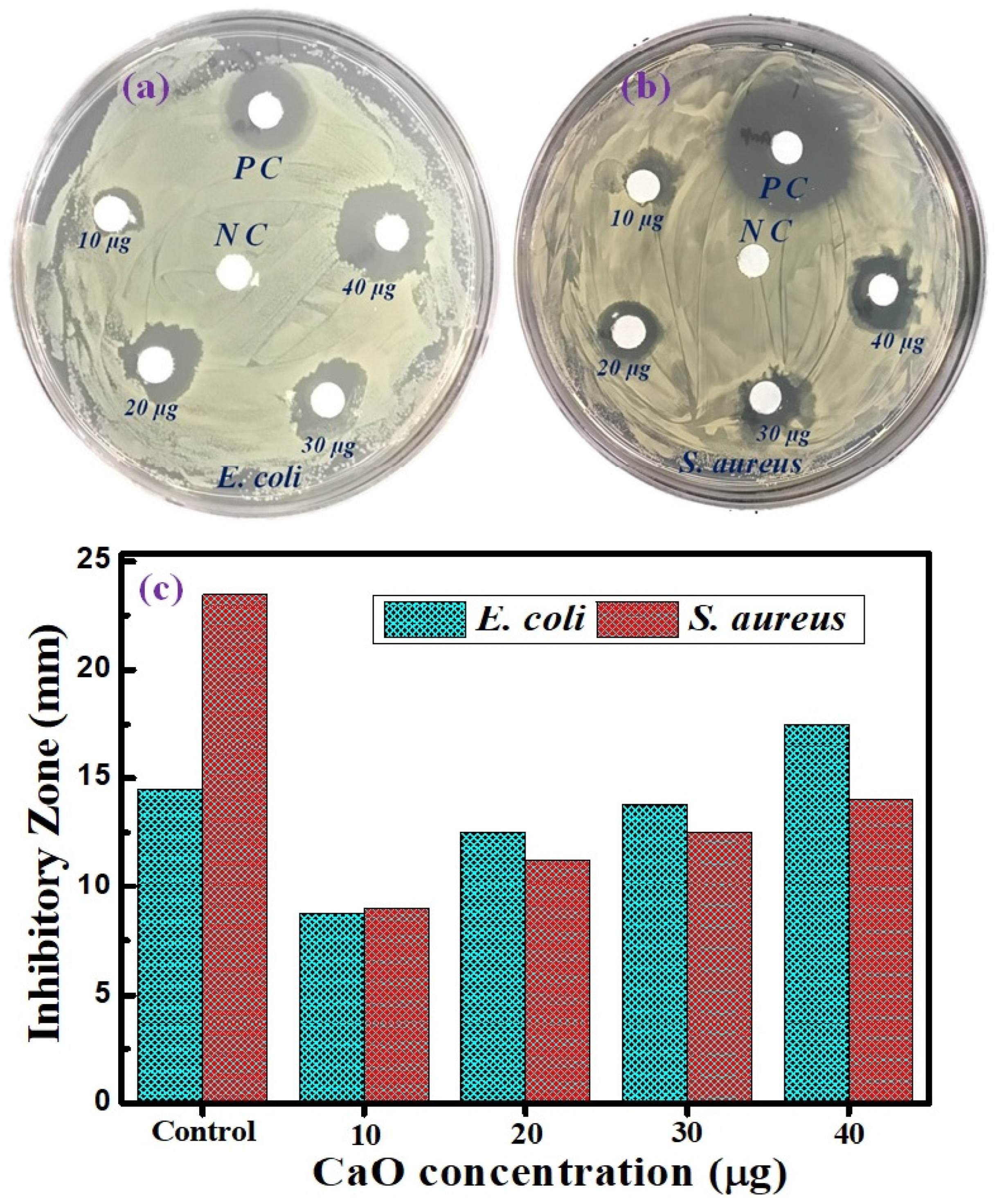 Nanomaterials 14 01620 g014