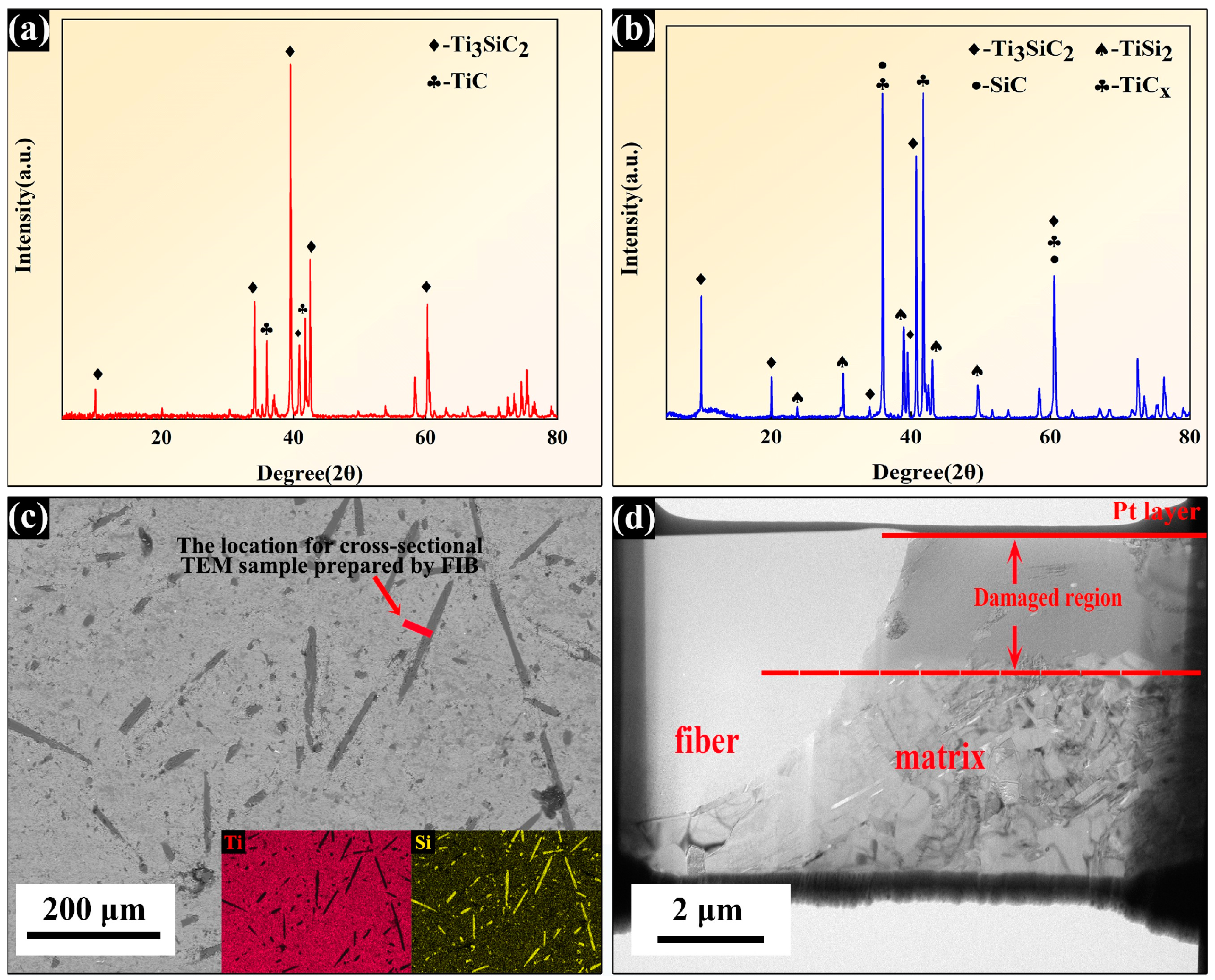 Nanomaterials 14 01629 g002