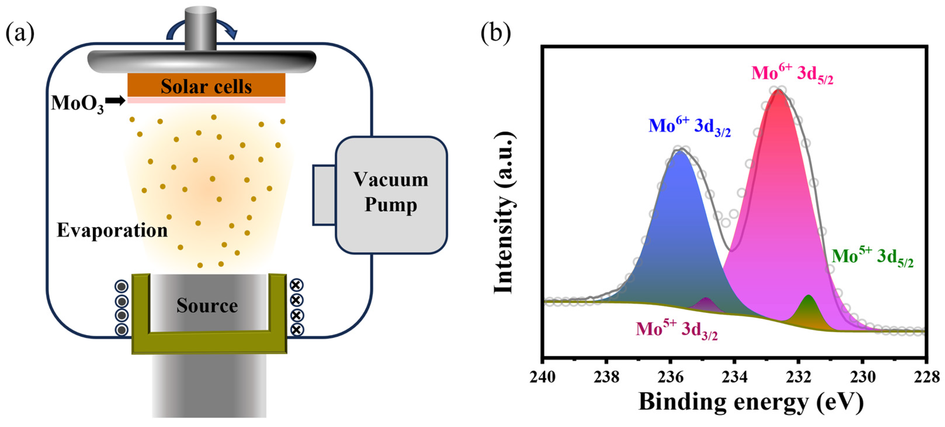 Nanomaterials 14 01630 g001