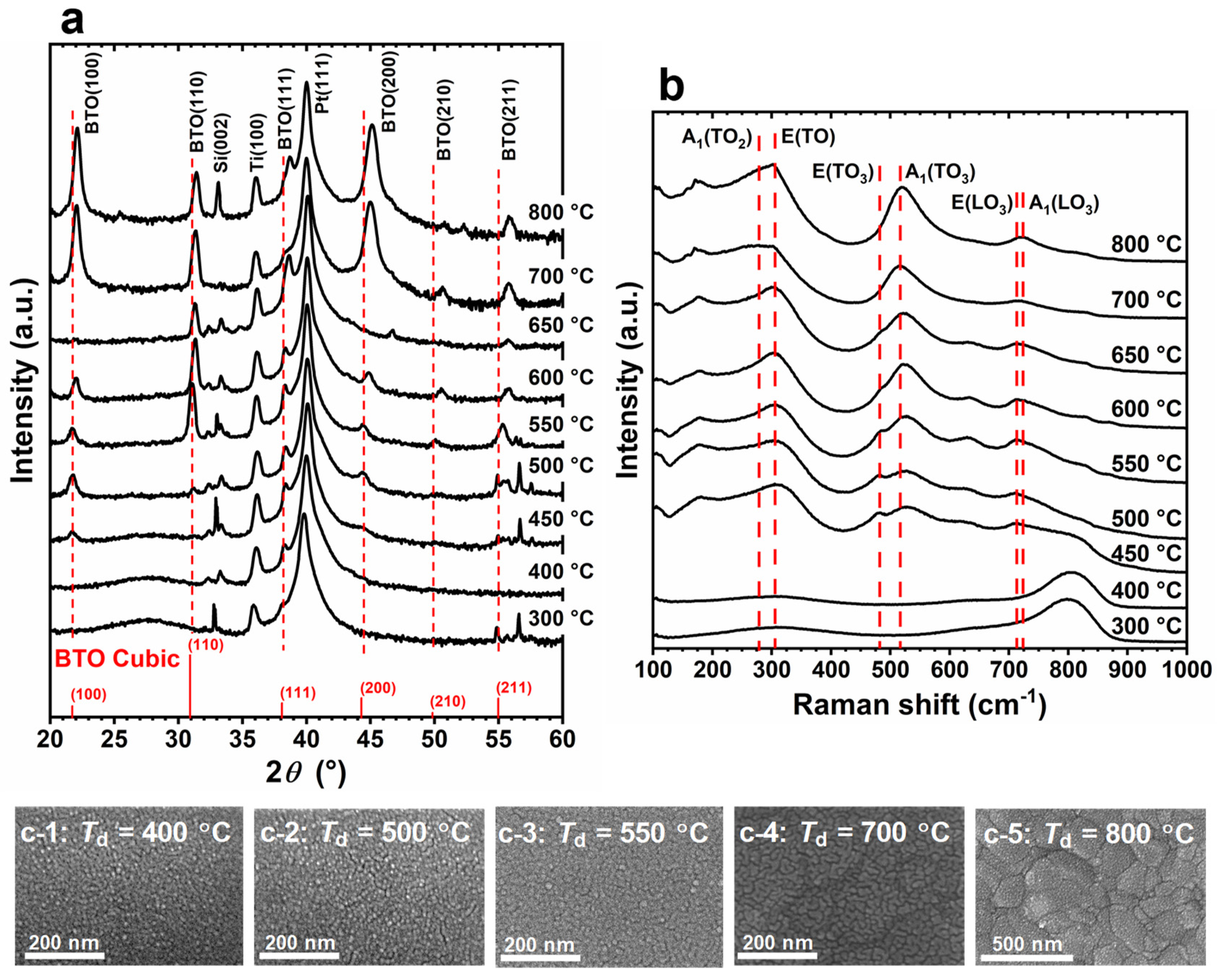 Nanomaterials 14 01677 g002