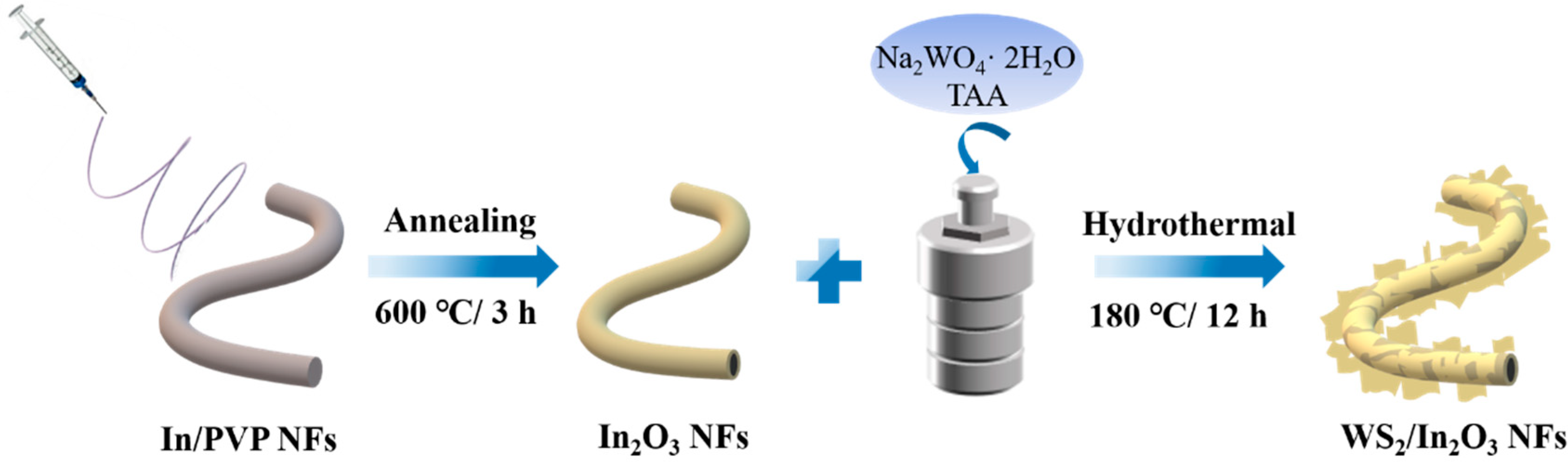 Nanomaterials 14 01702 g001