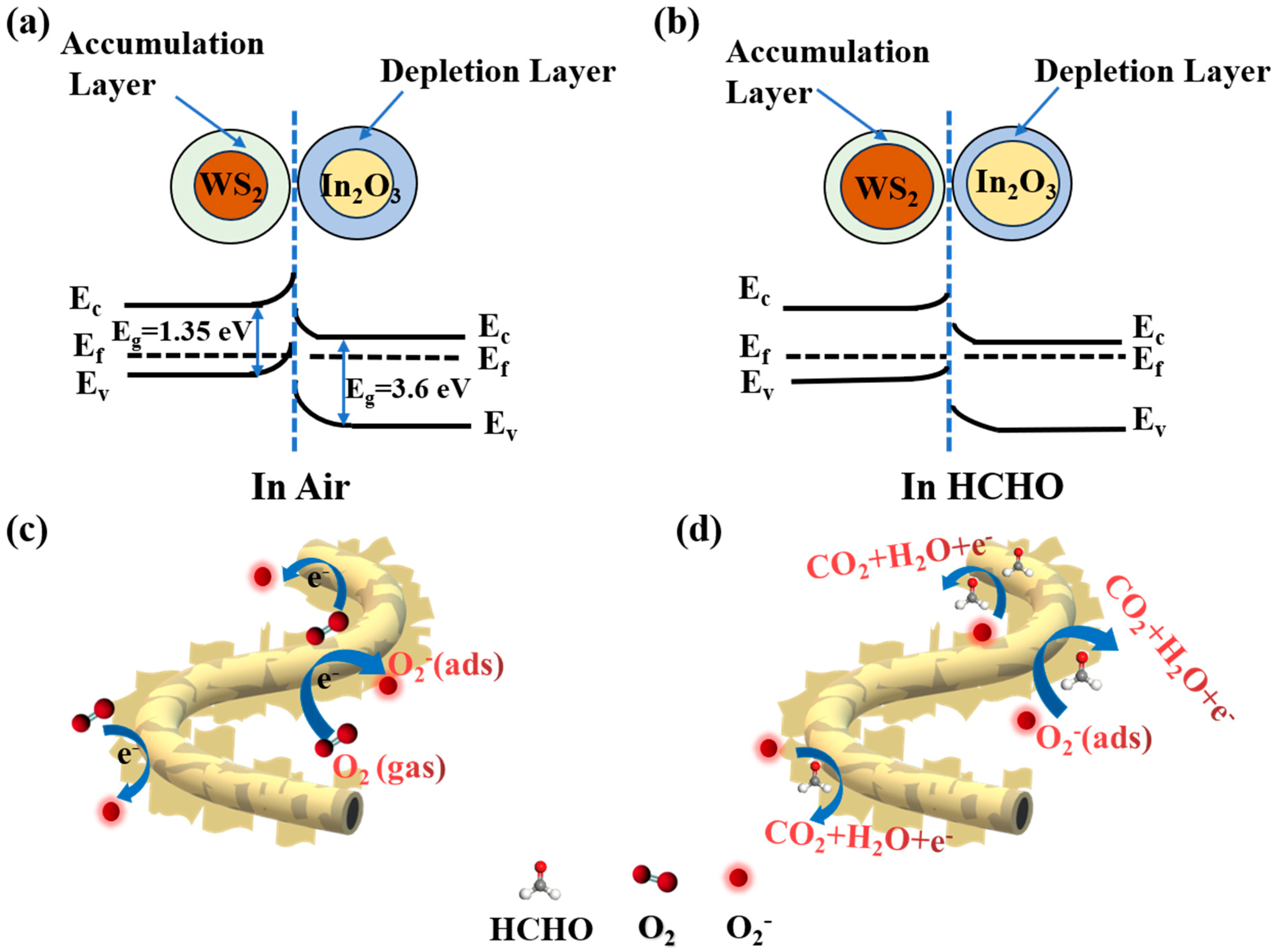 Nanomaterials 14 01702 g005