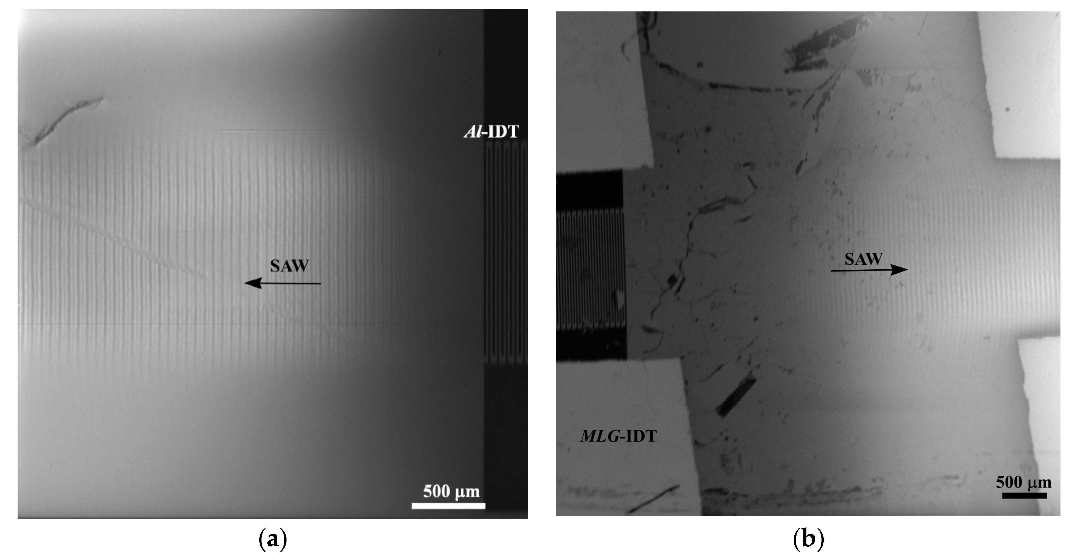 Nanomaterials 14 01720 g006