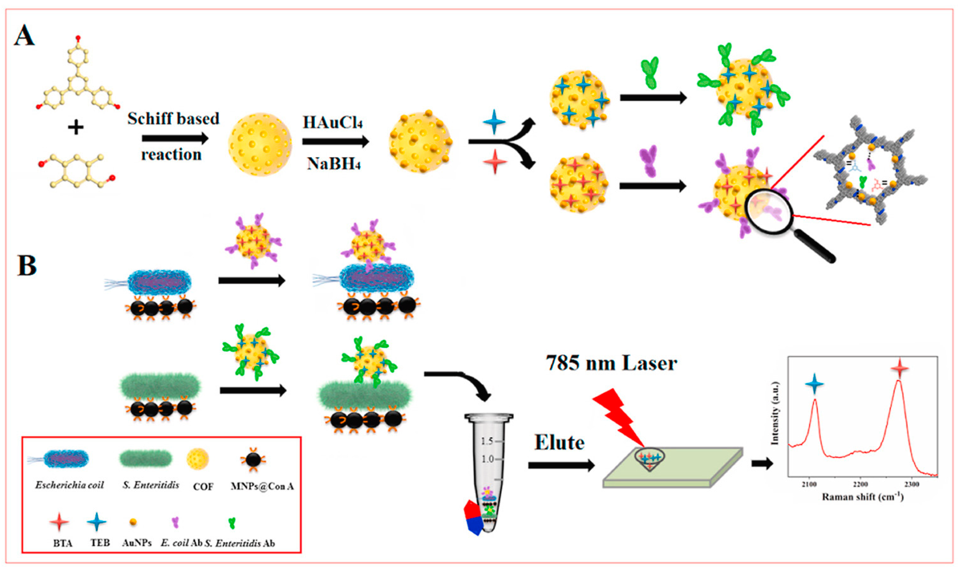 Nanomaterials 14 01750 g006