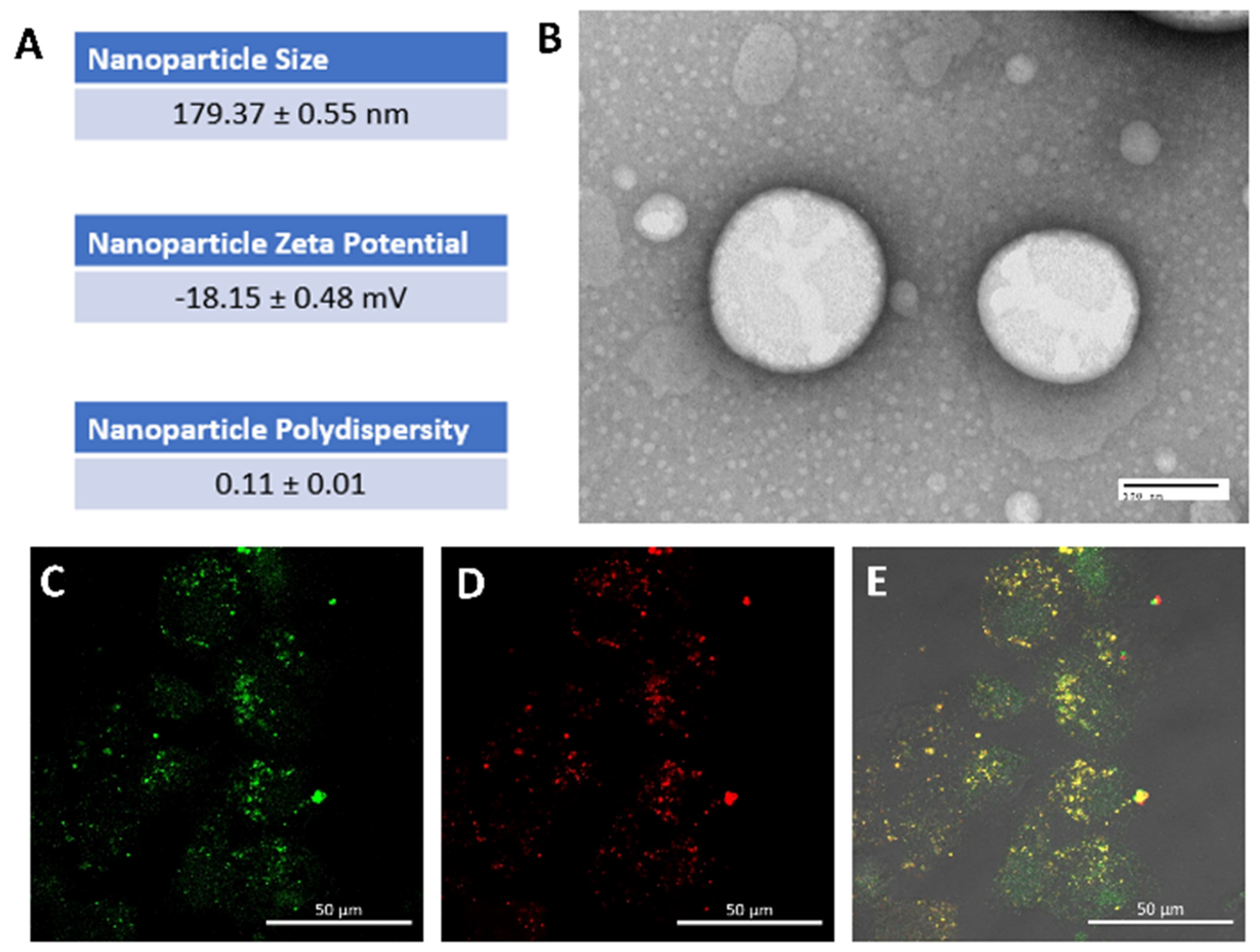 Nanomaterials 14 01752 g001