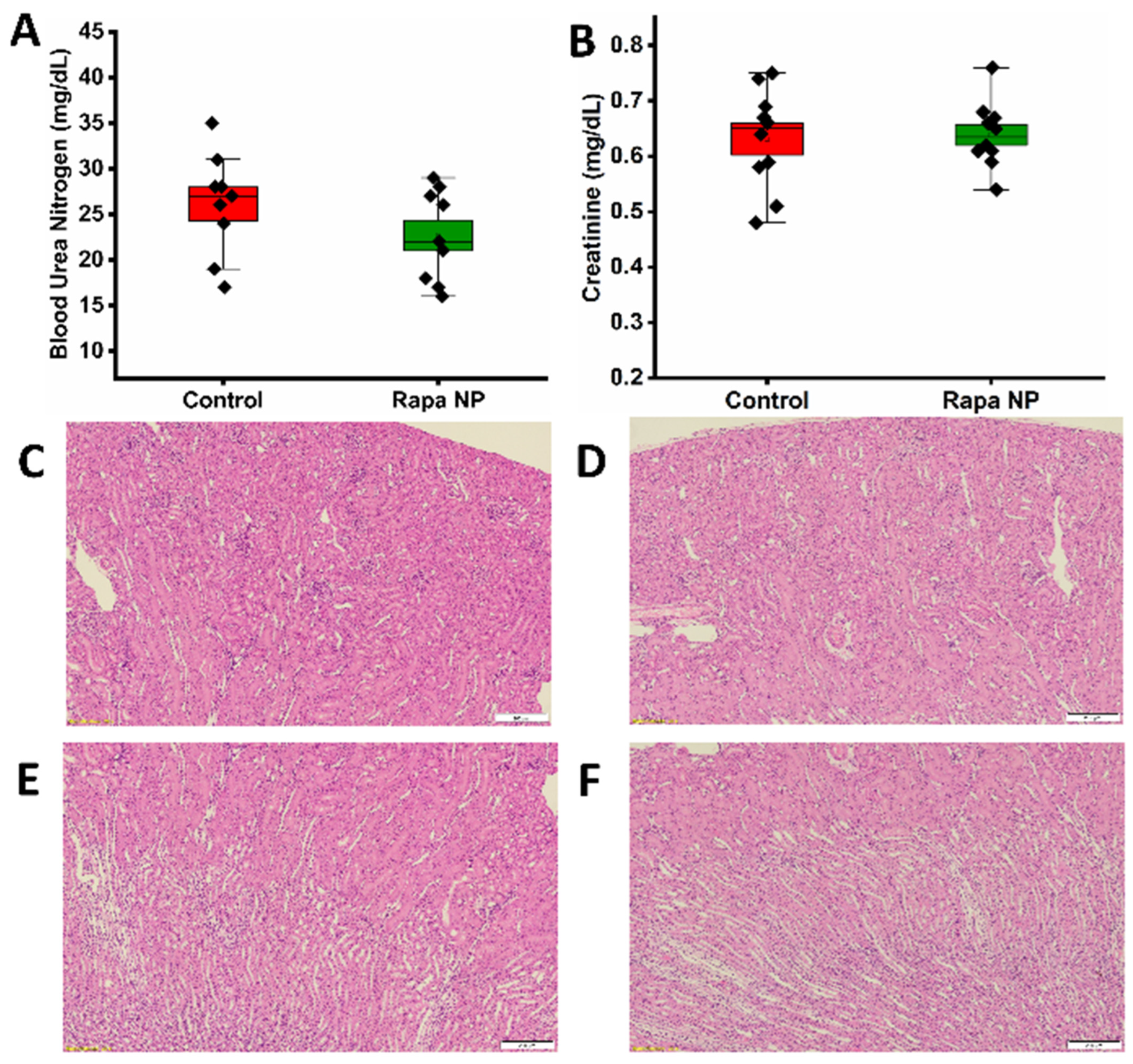 Nanomaterials 14 01752 g004