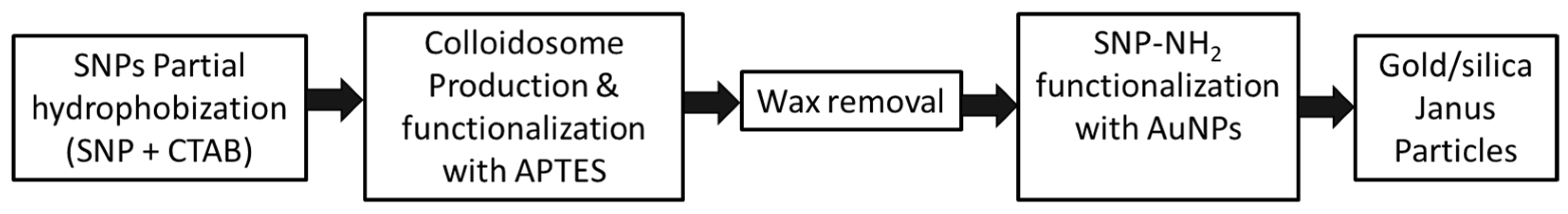 Nanomaterials 14 01796 g001