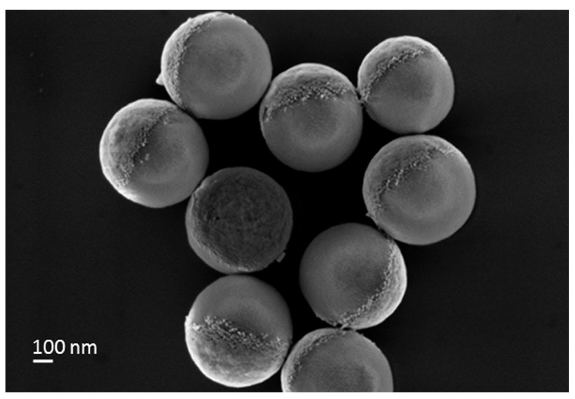 Nanomaterials 14 01796 g006