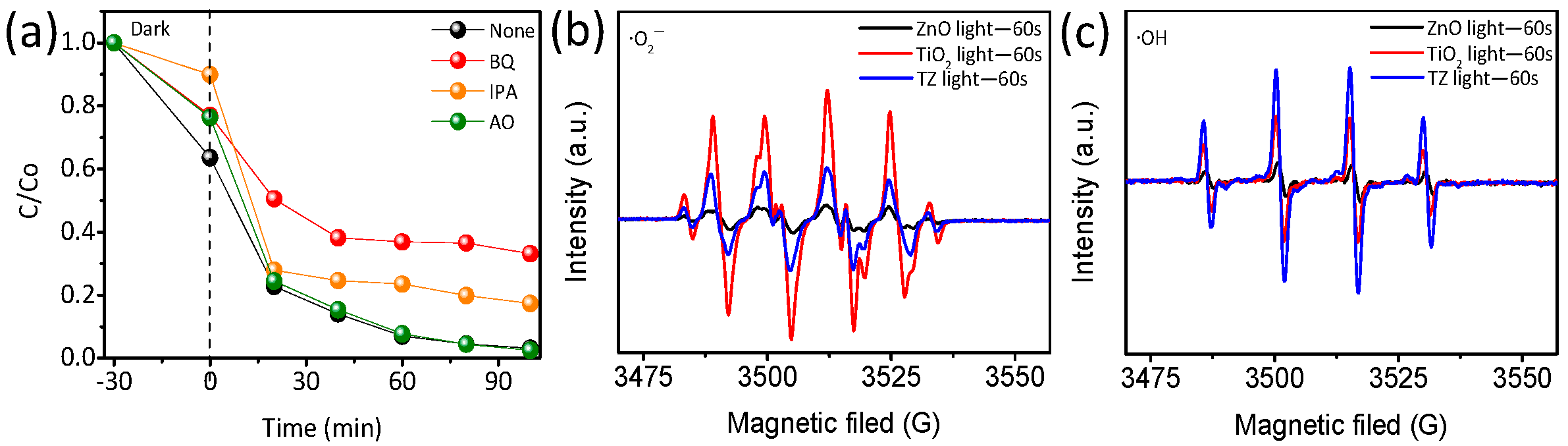 Nanomaterials 14 01802 g008