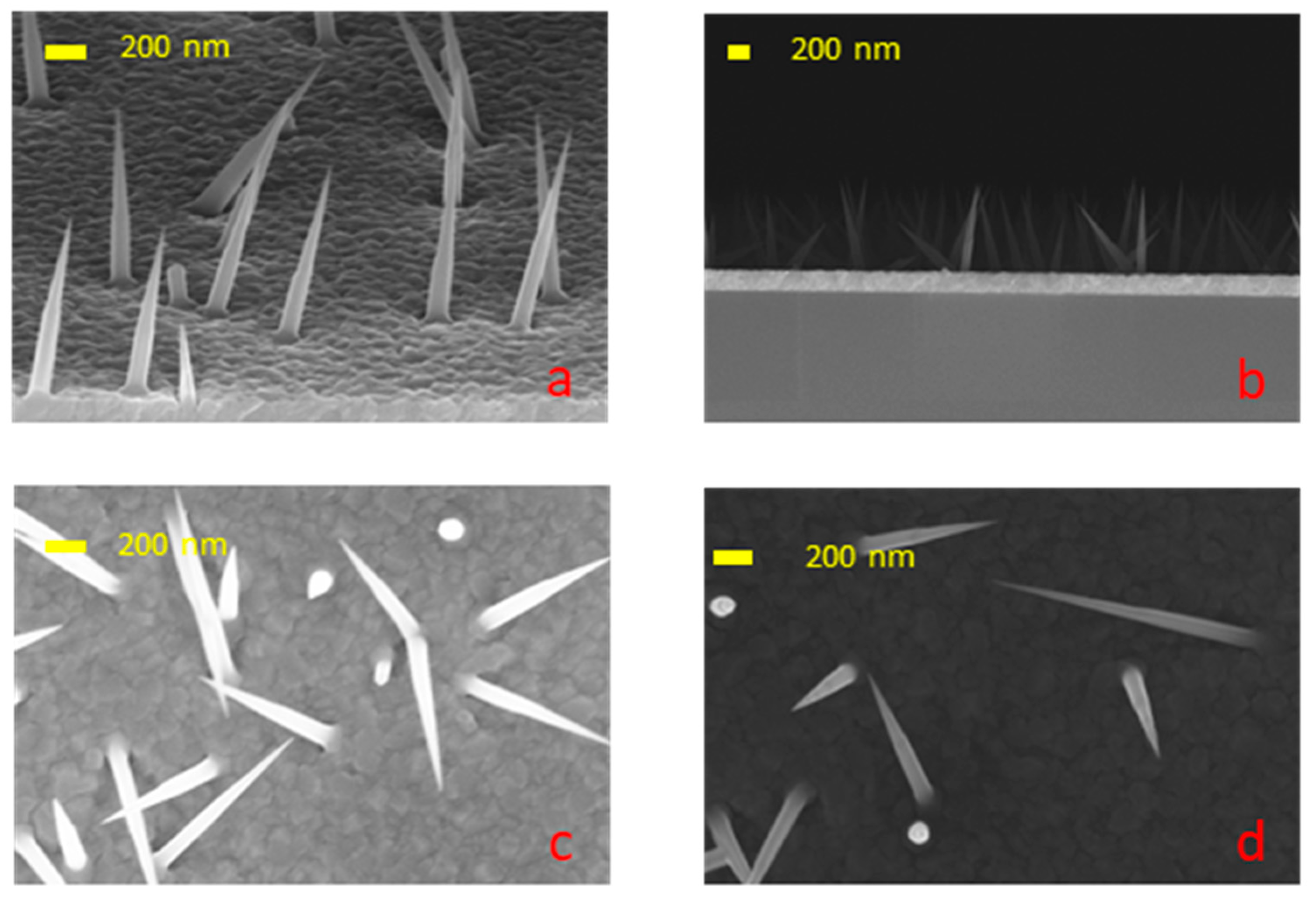 Nanomaterials 14 01860 g002