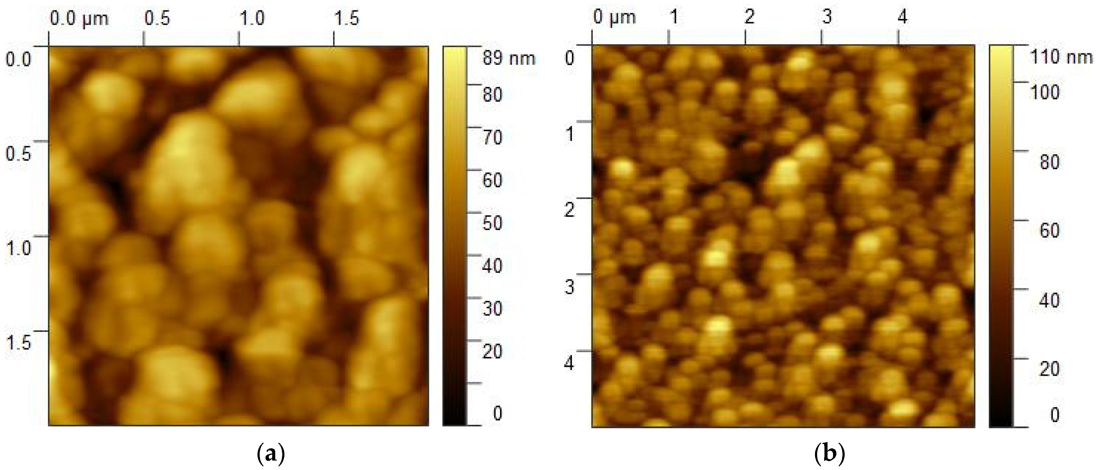 Nanomaterials 14 01883 g001