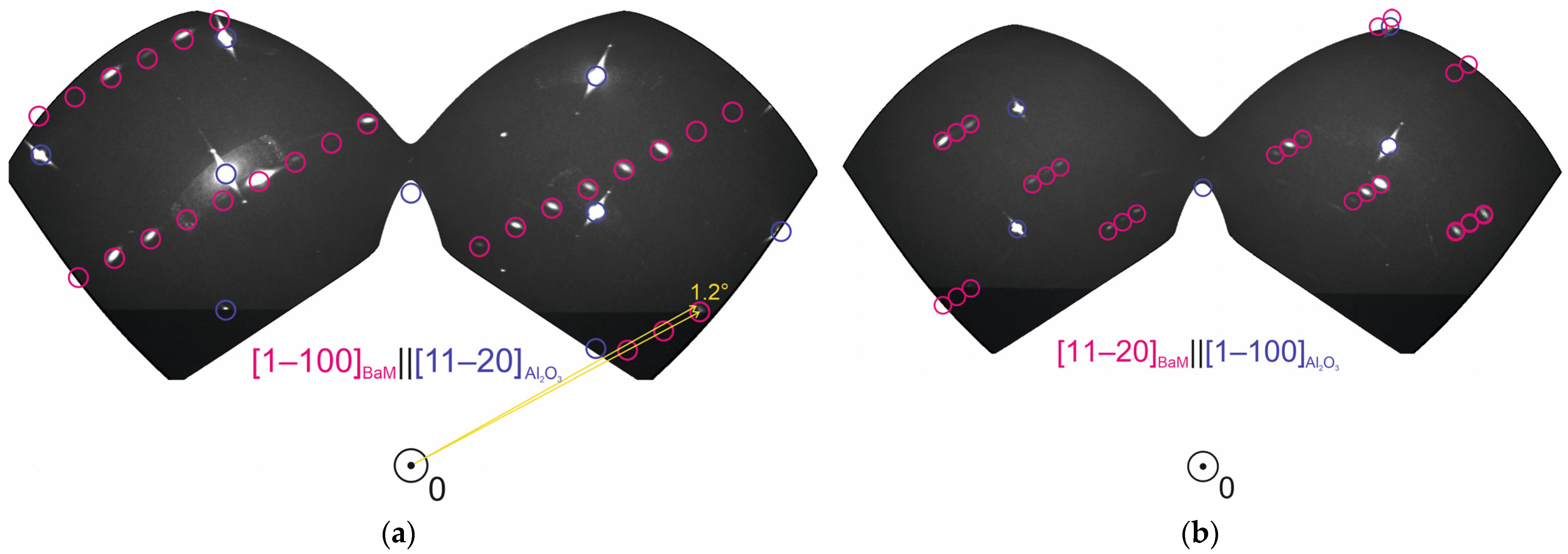 Nanomaterials 14 01883 g004a