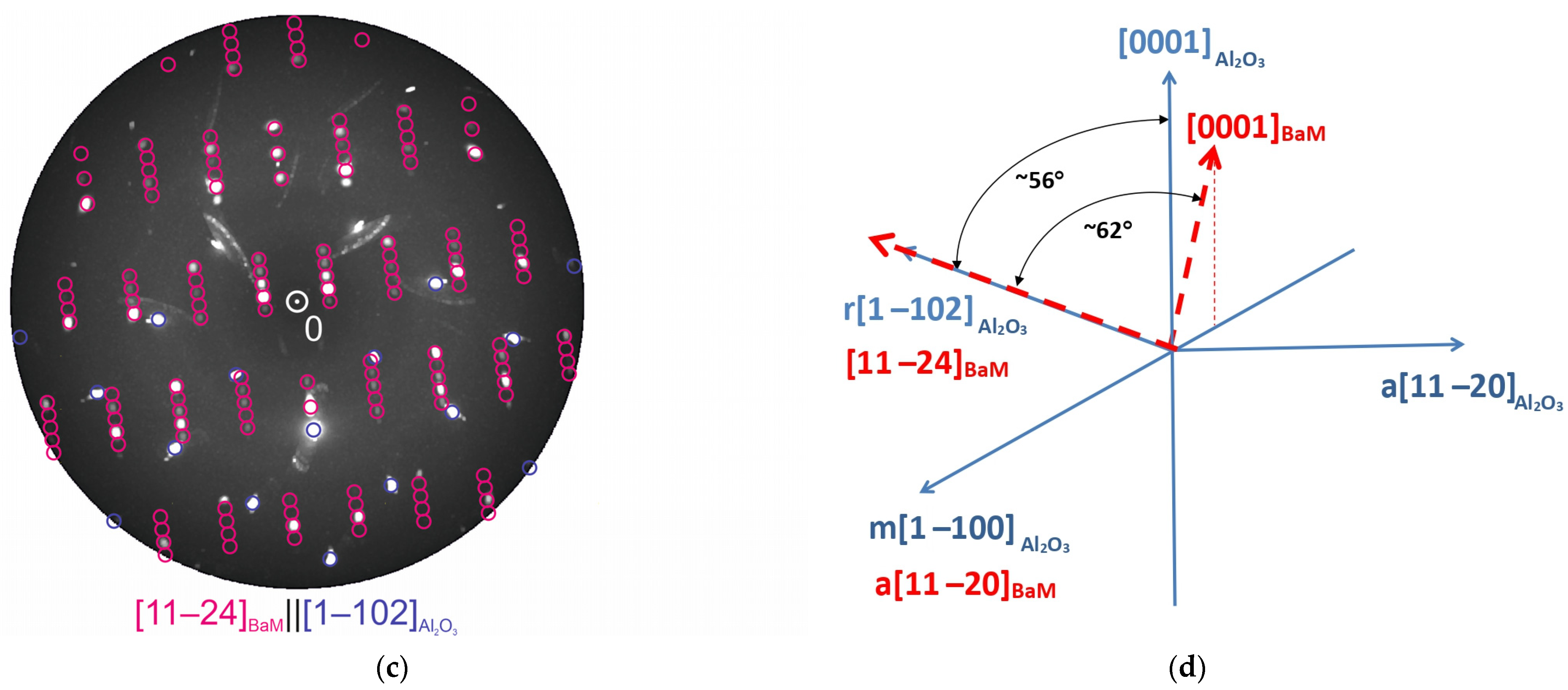 Nanomaterials 14 01883 g004b