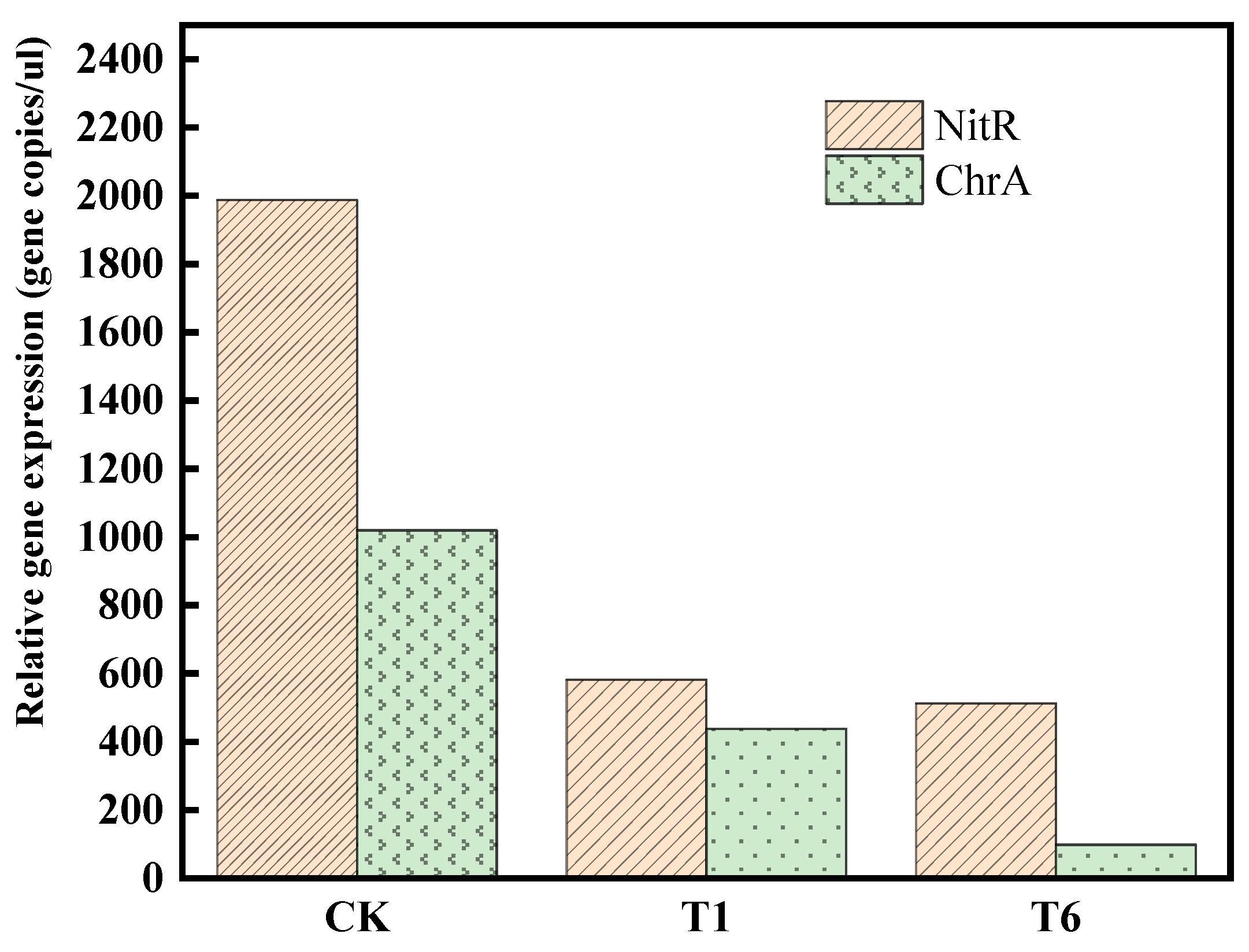 Nanomaterials 14 01895 g005