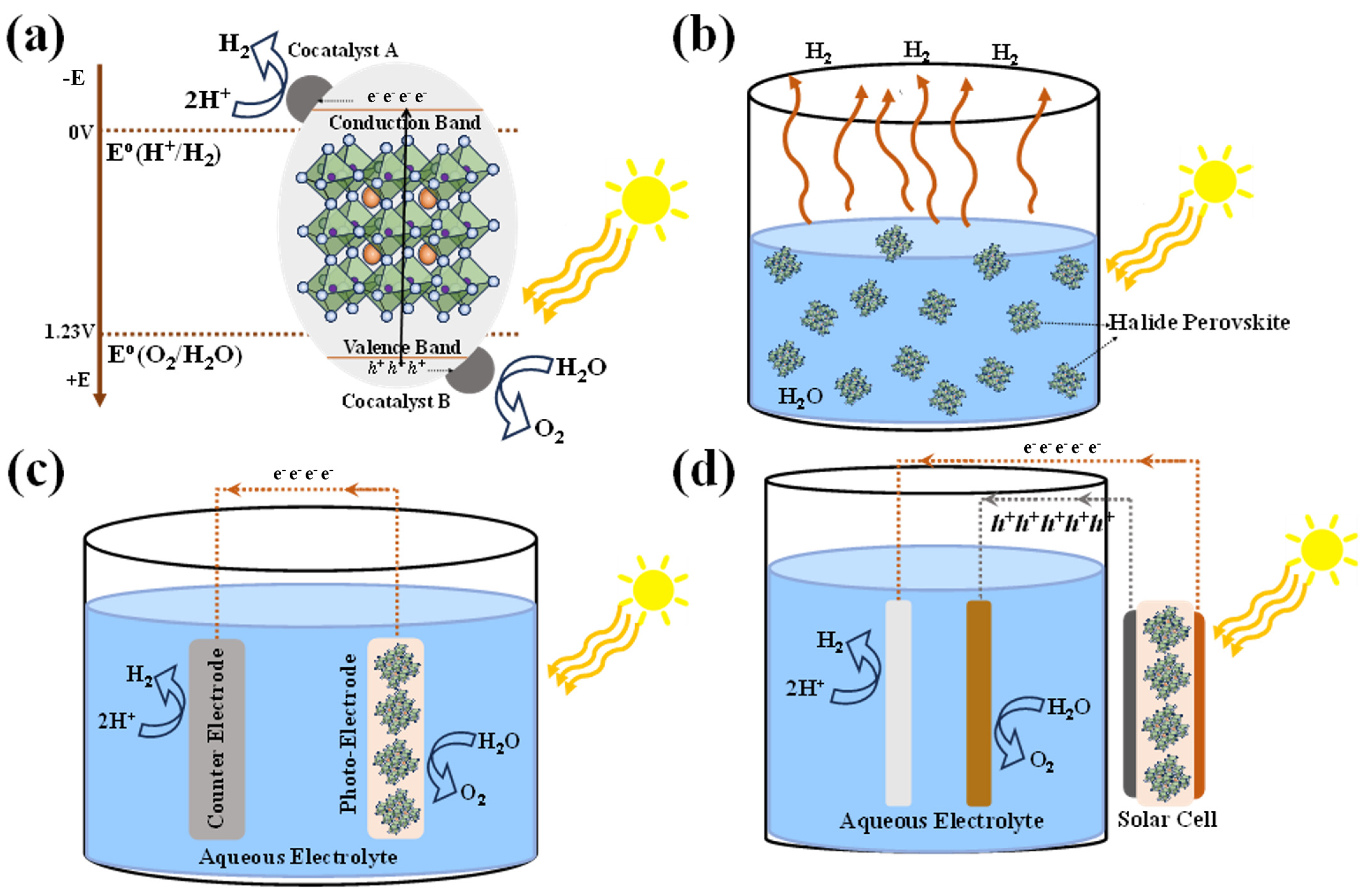 Nanomaterials 14 01914 g001