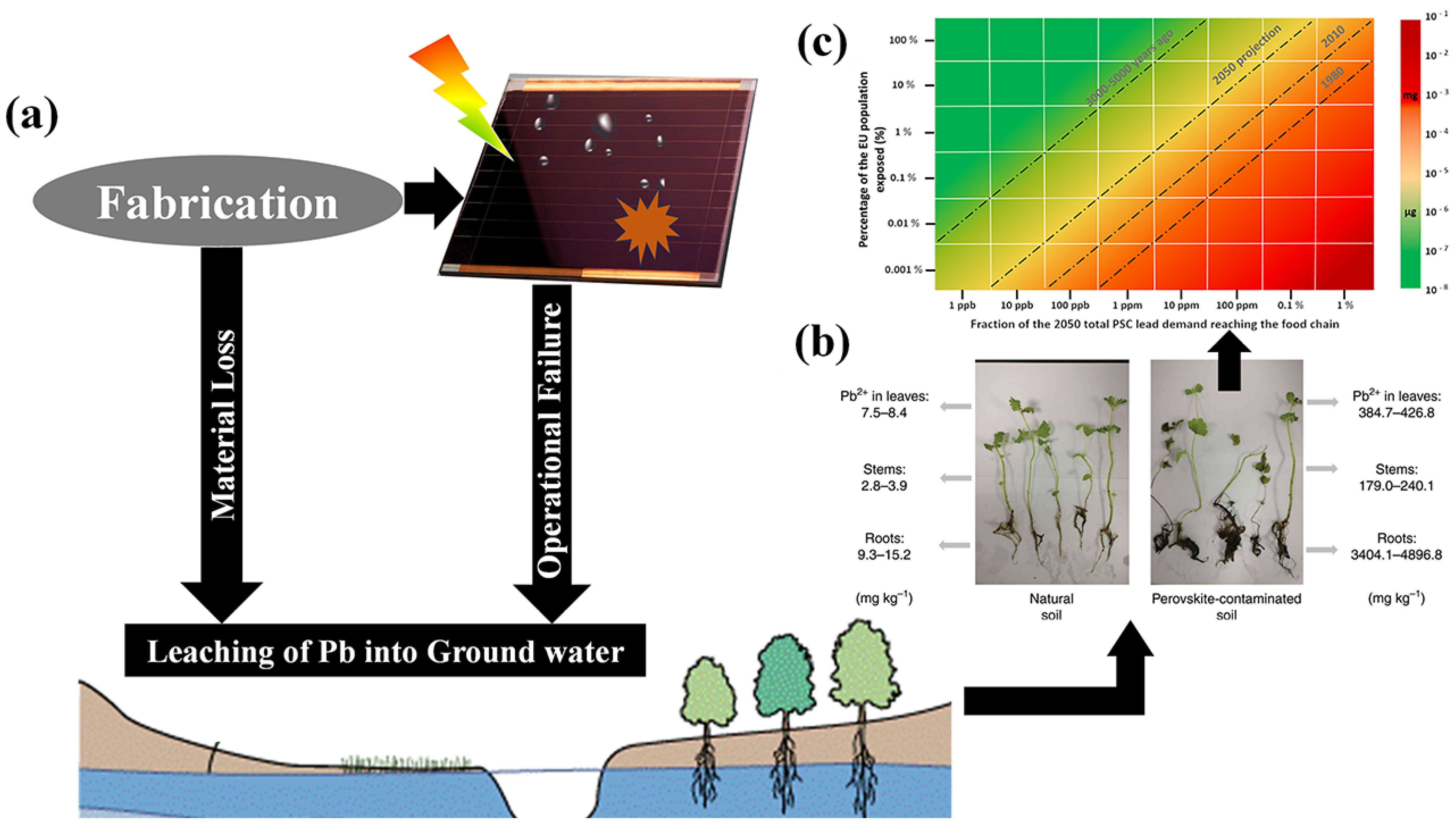 Nanomaterials 14 01914 g004