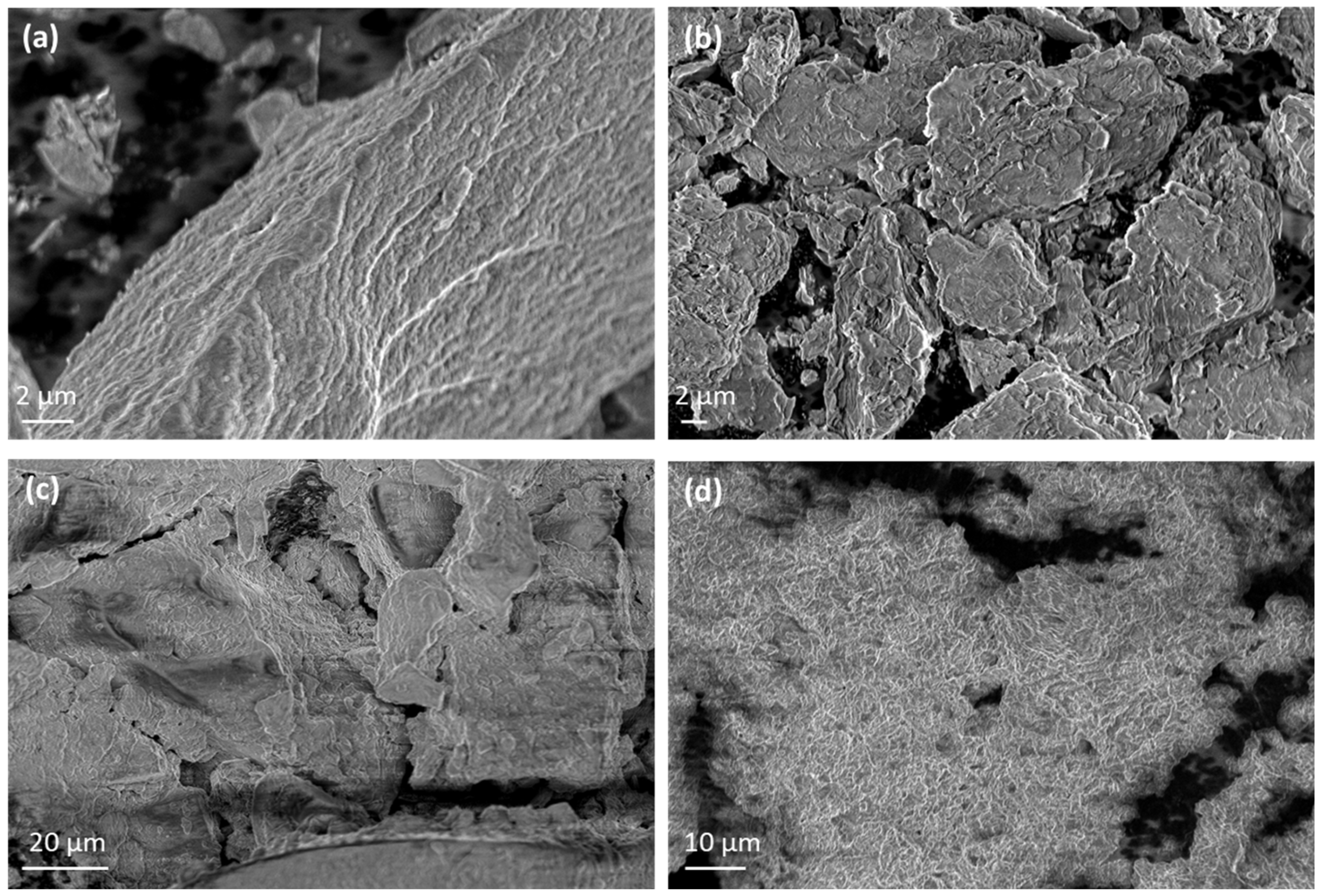 Nanomaterials 14 01938 g005
