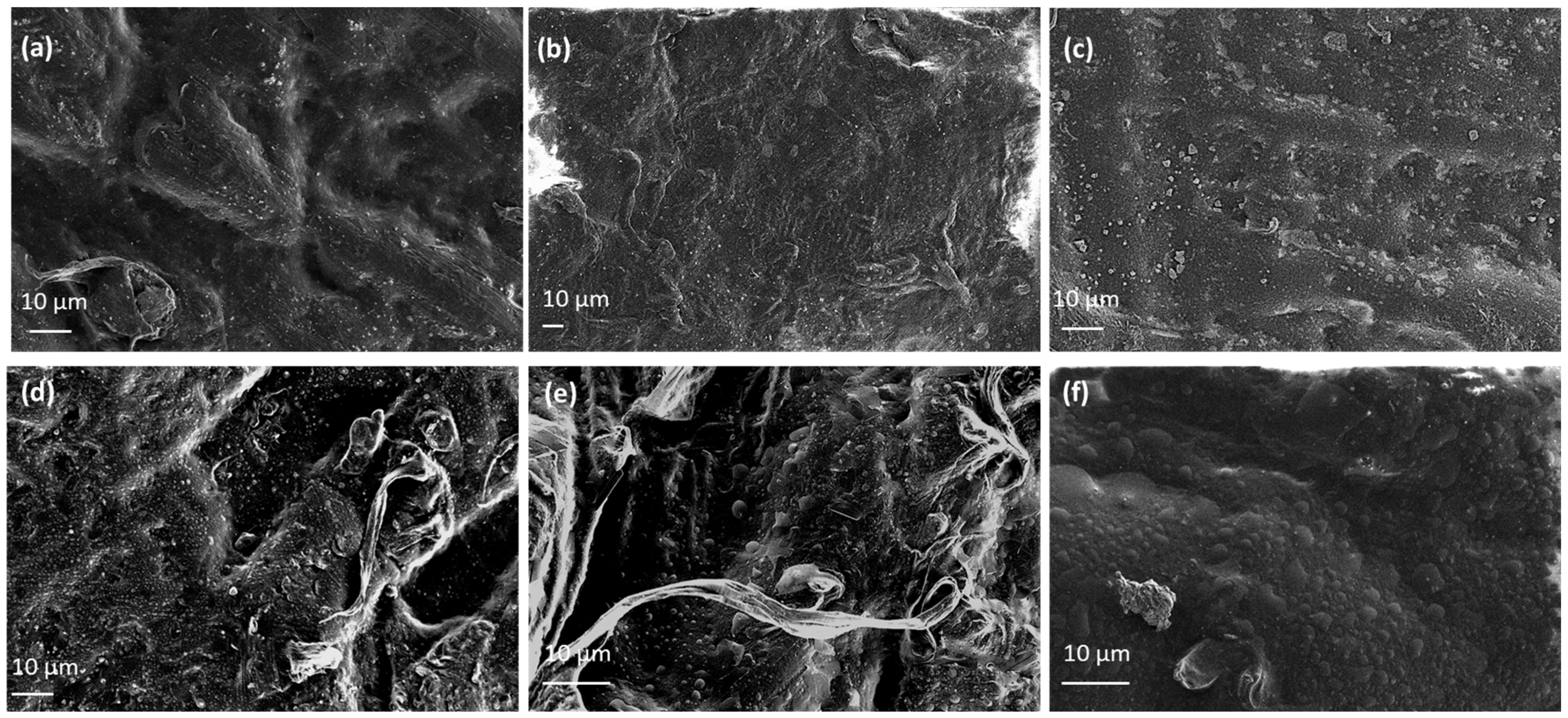 Nanomaterials 14 01938 g007