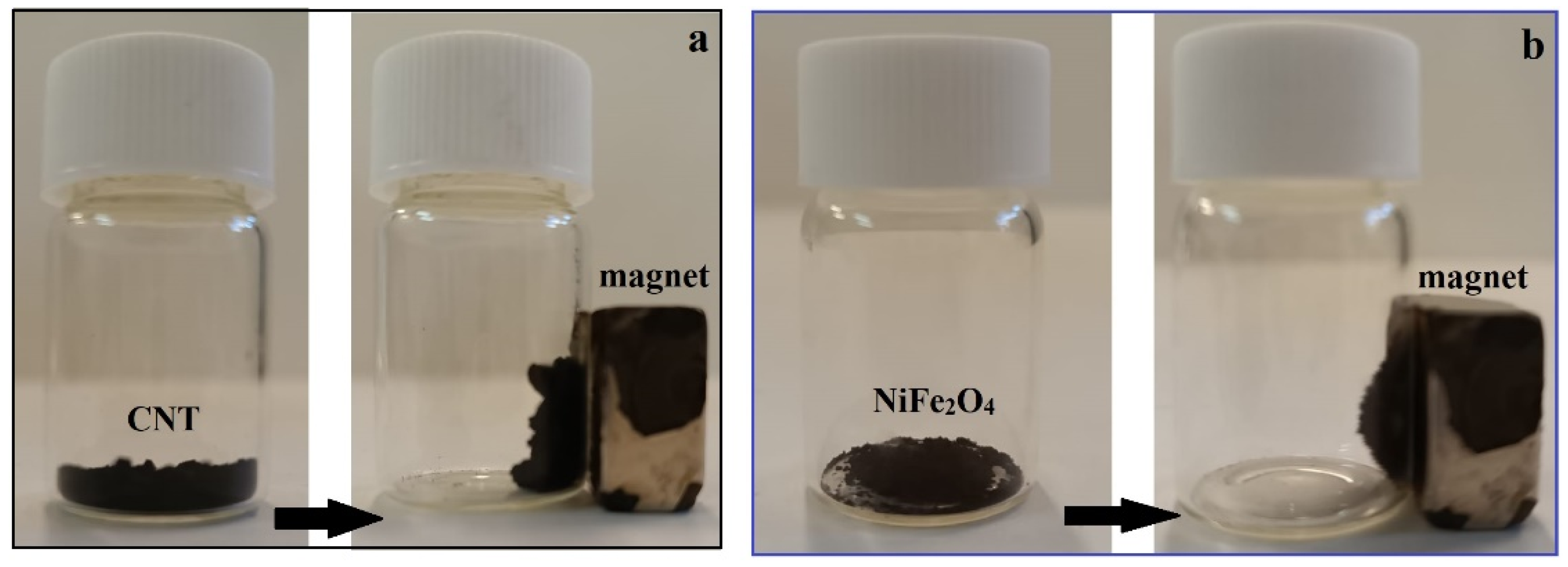 Nanomaterials 14 01942 g005