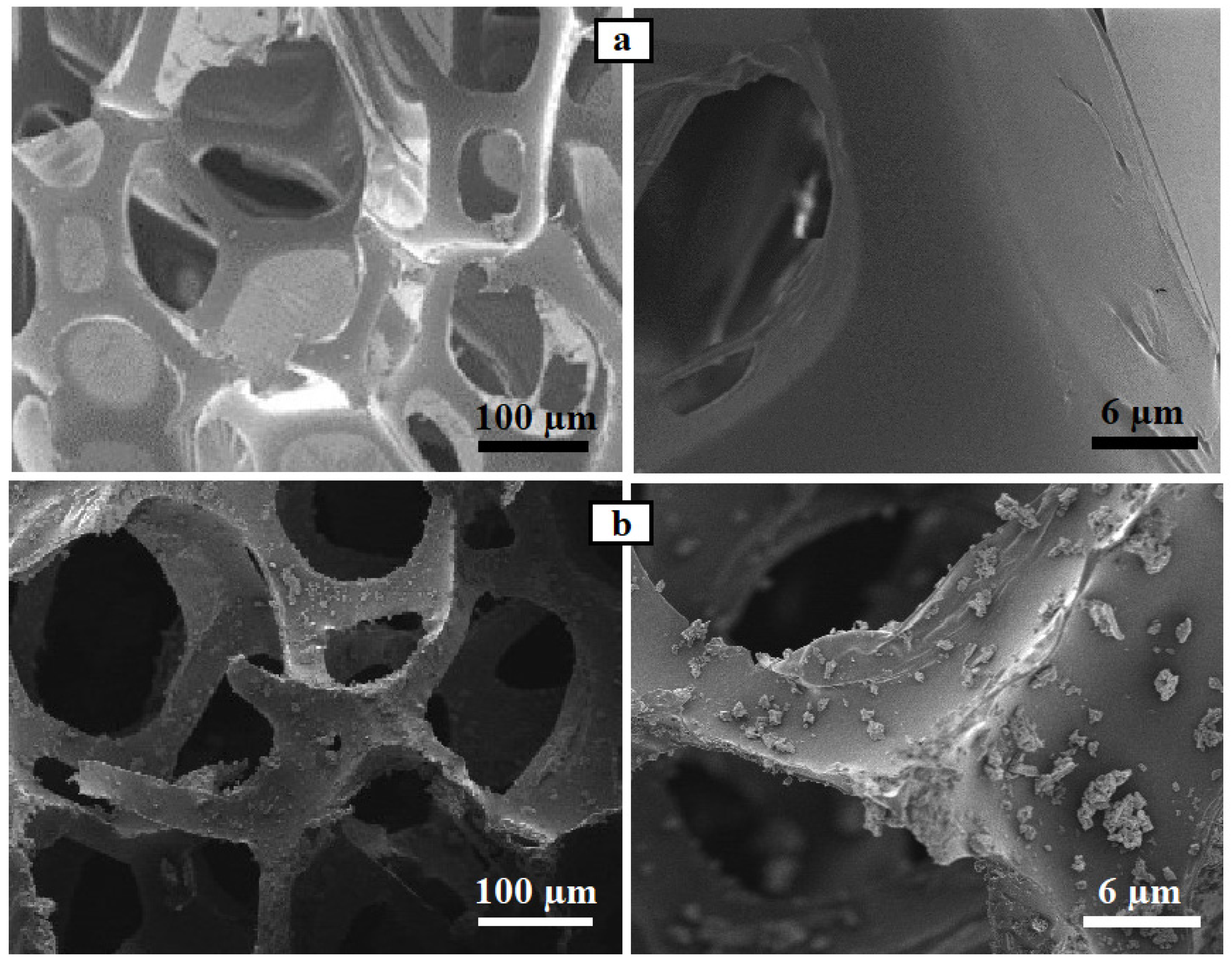 Nanomaterials 14 01942 g006