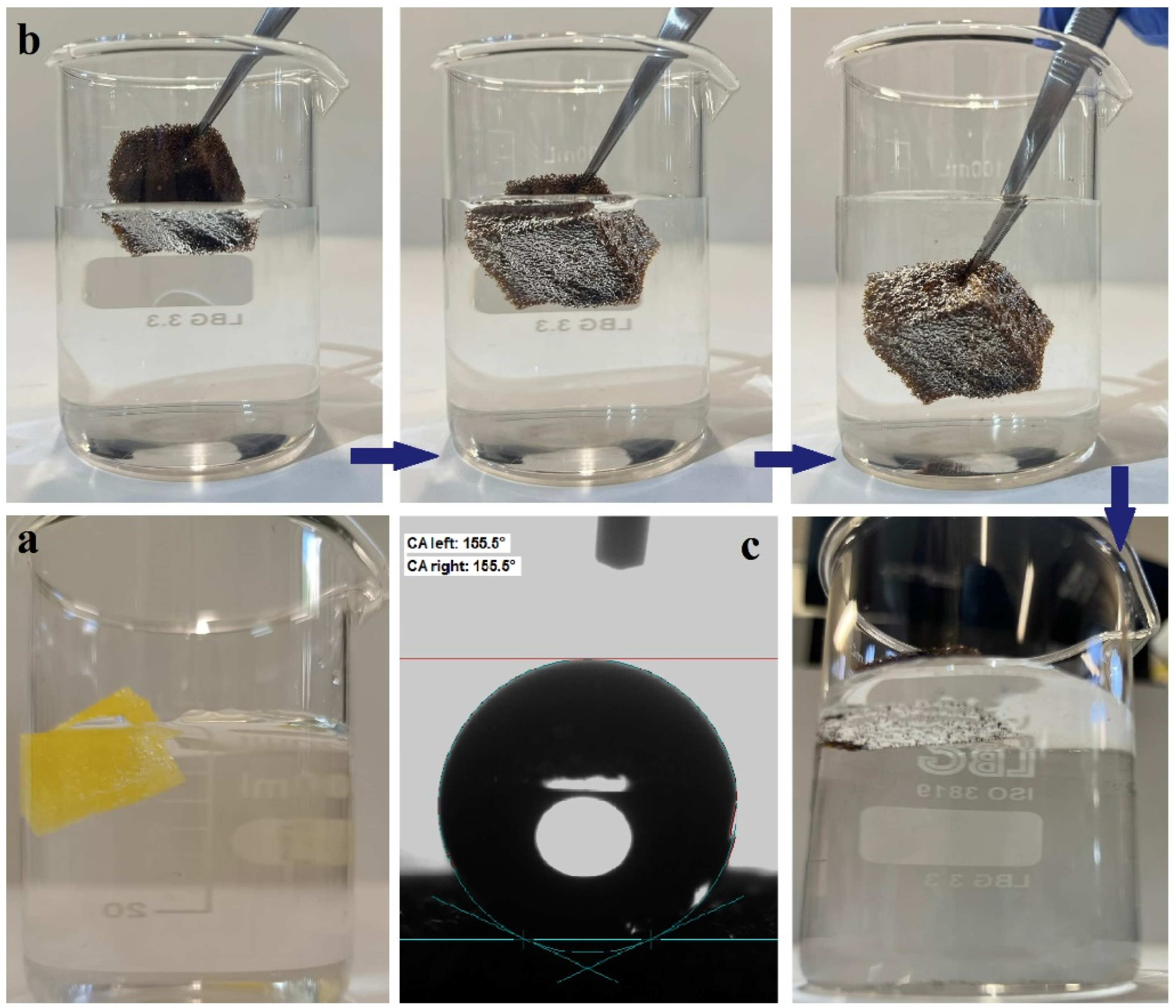 Nanomaterials 14 01942 g007