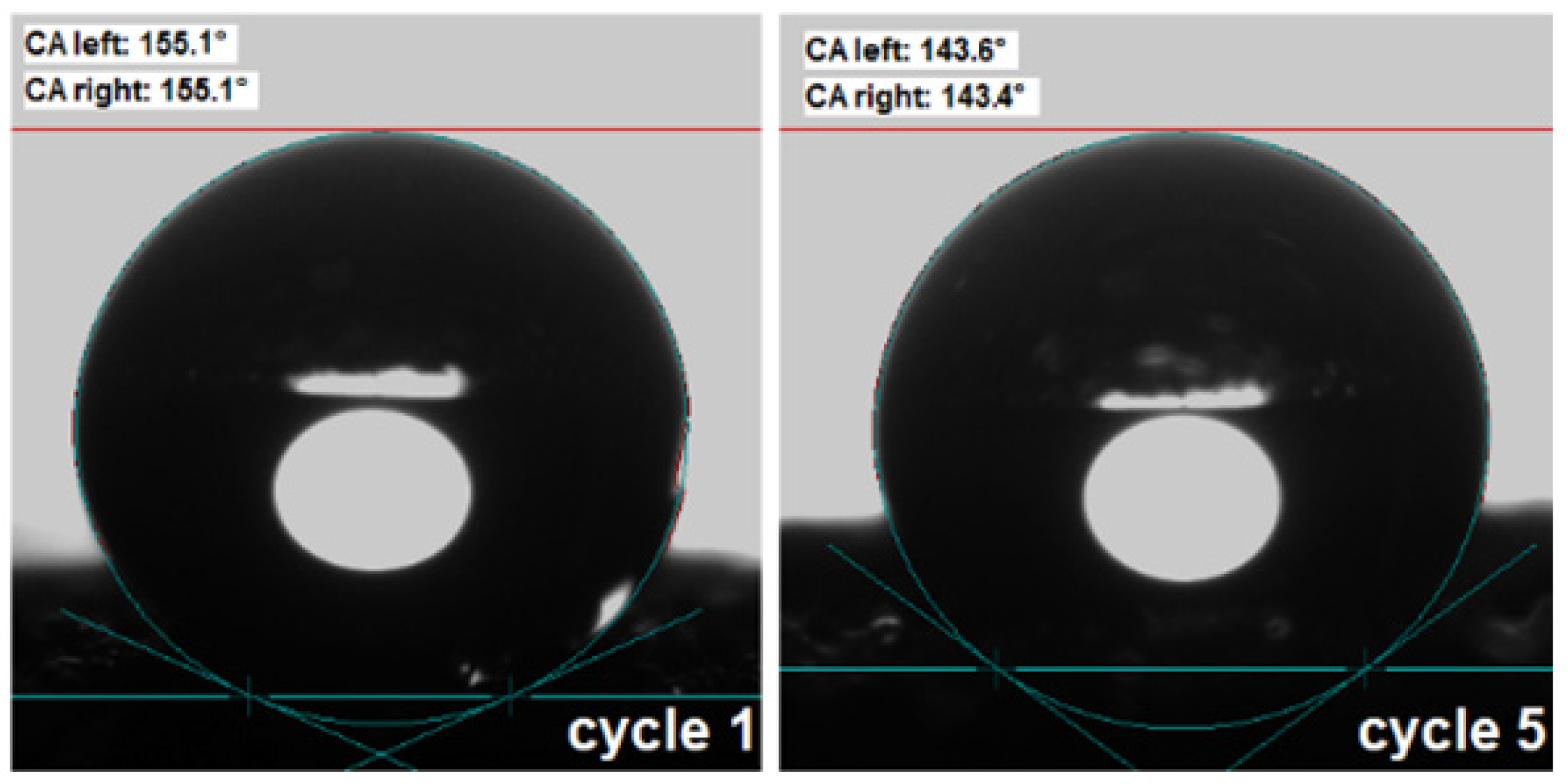 Nanomaterials 14 01942 g010